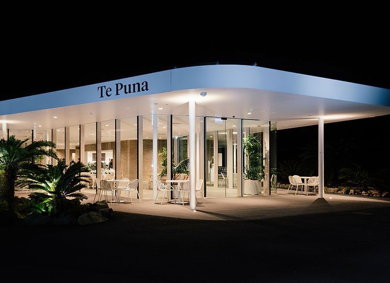 Ercol Lara Chairs at Auckland Zoo Te Puna Cafe by Stevens Lawson Architects