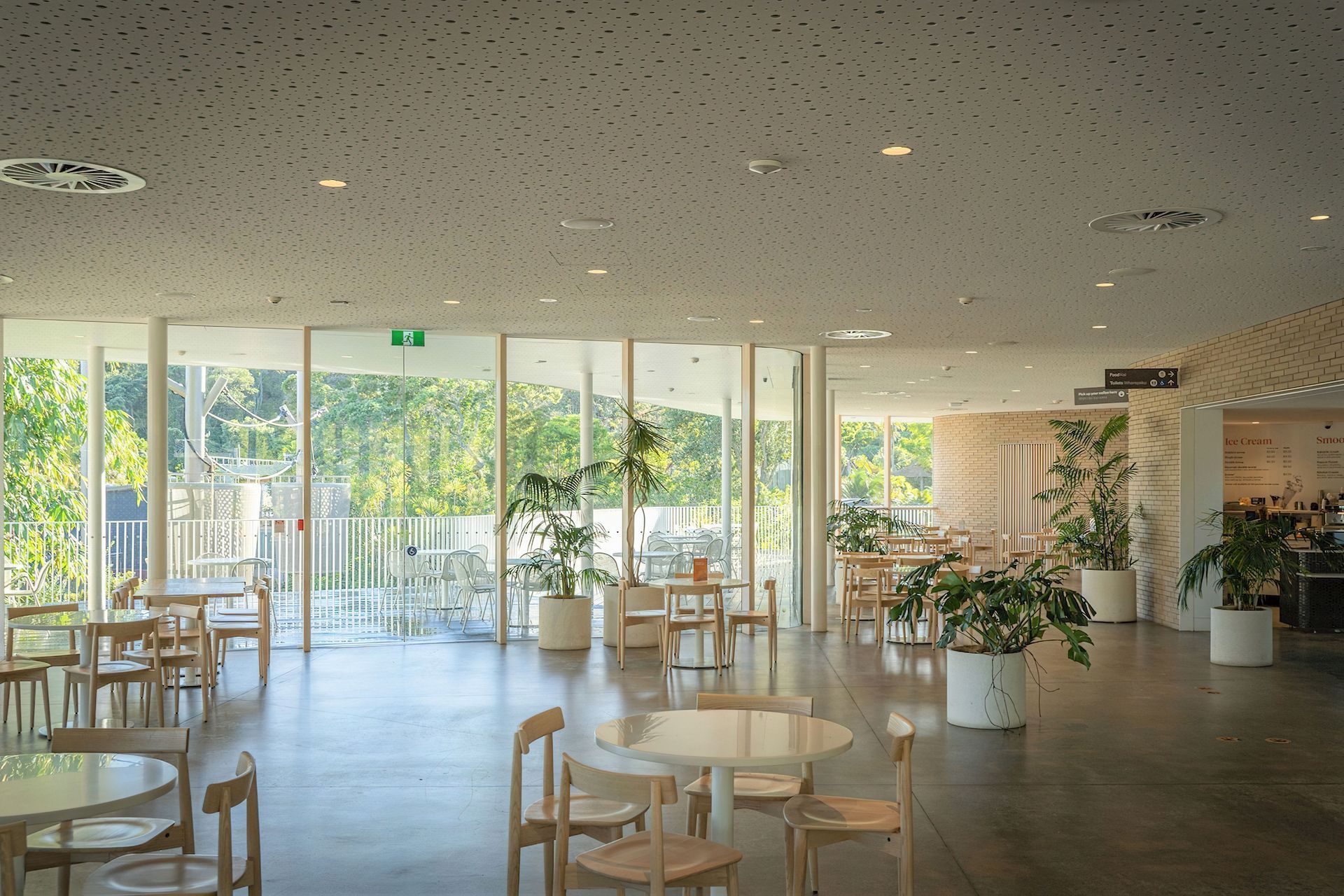Ercol Lara Chairs at Auckland Zoo Te Puna Cafe by Stevens Lawson Architects