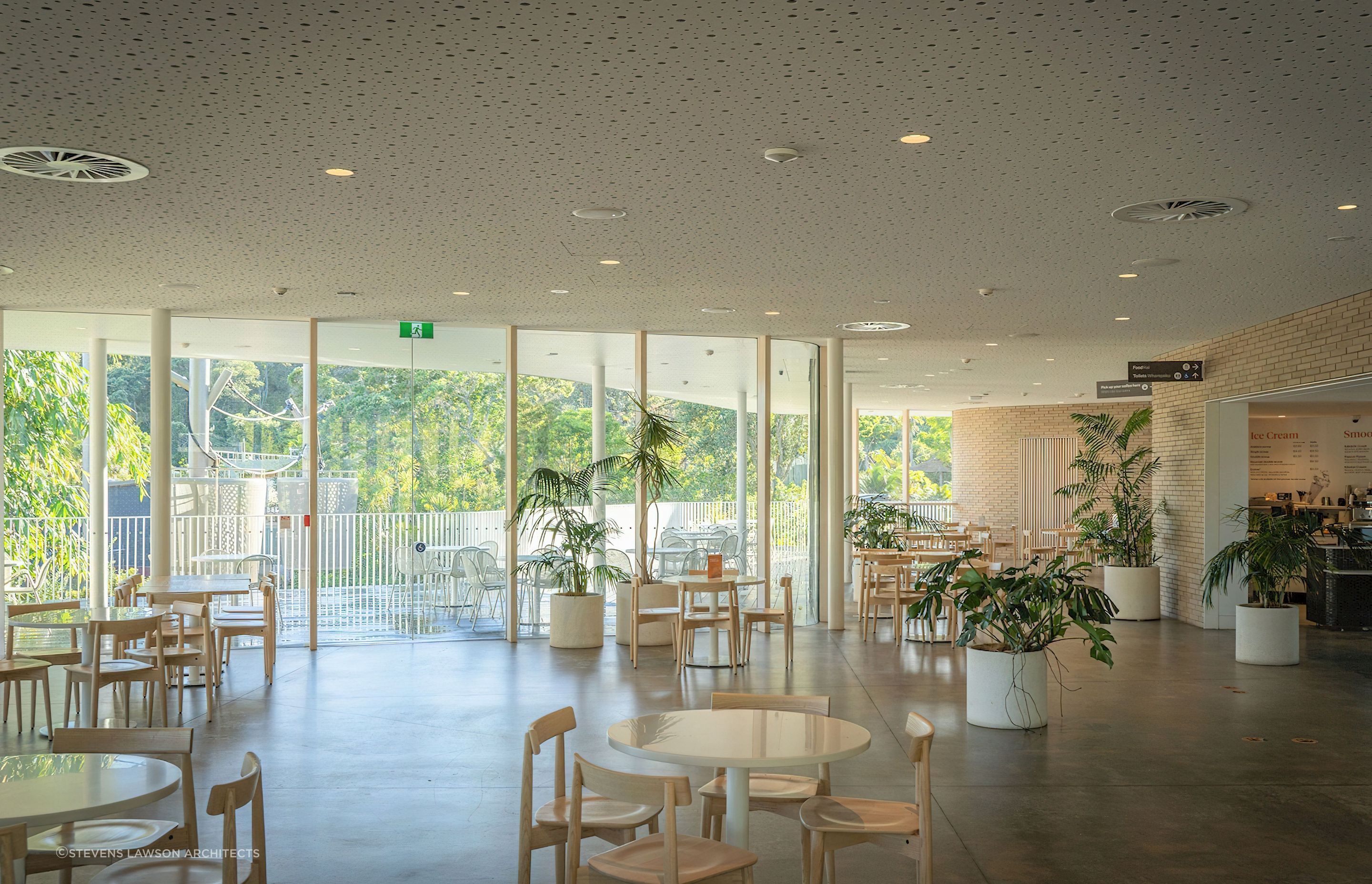 Ercol Lara Chairs at Auckland Zoo Te Puna Cafe by Stevens Lawson Architects
