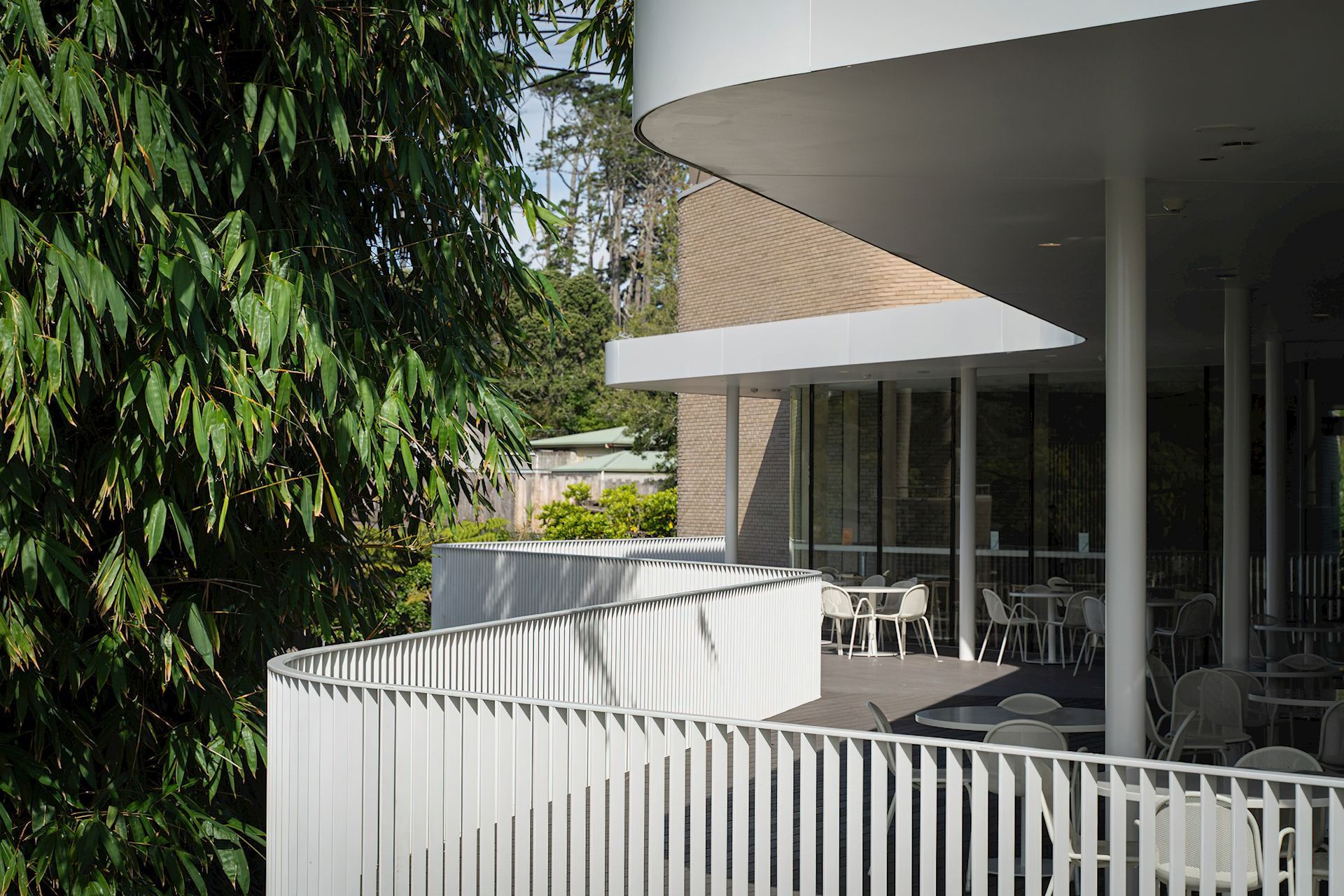 Ercol Lara Chairs at Auckland Zoo Te Puna Cafe by Stevens Lawson Architects