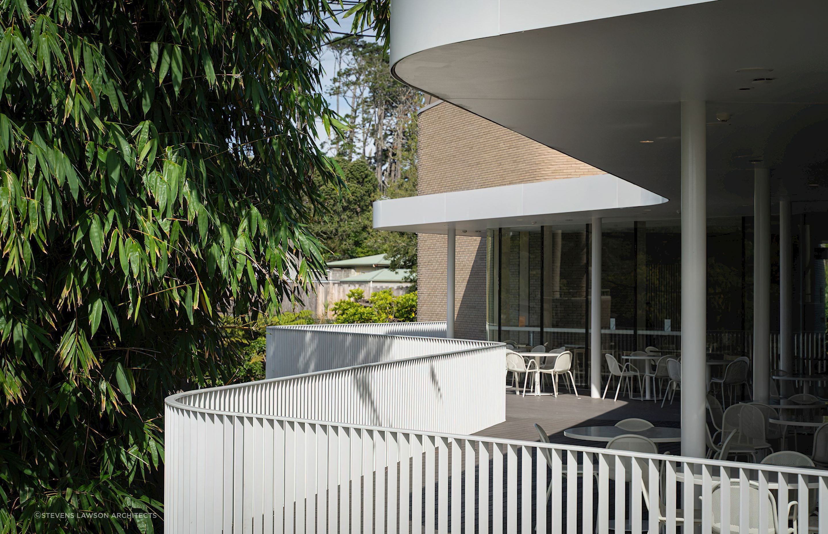 Ercol Lara Chairs at Auckland Zoo Te Puna Cafe by Stevens Lawson Architects