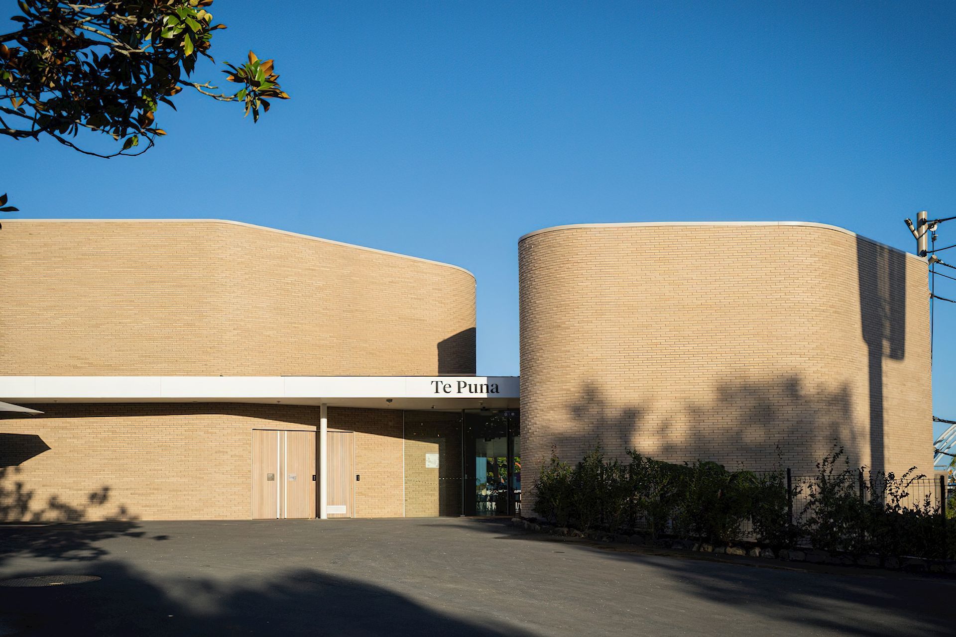 Ercol Lara Chairs at Auckland Zoo Te Puna Cafe by Stevens Lawson Architects