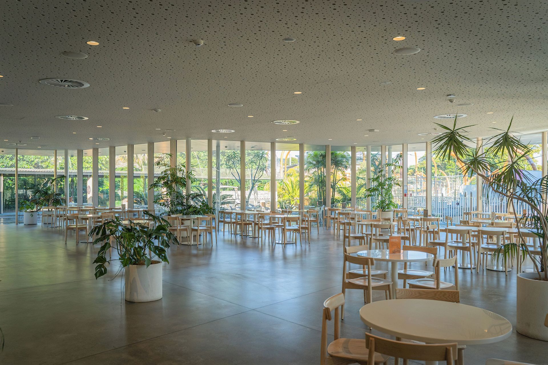 Ercol Lara Chairs at Auckland Zoo Te Puna Cafe by Stevens Lawson Architects