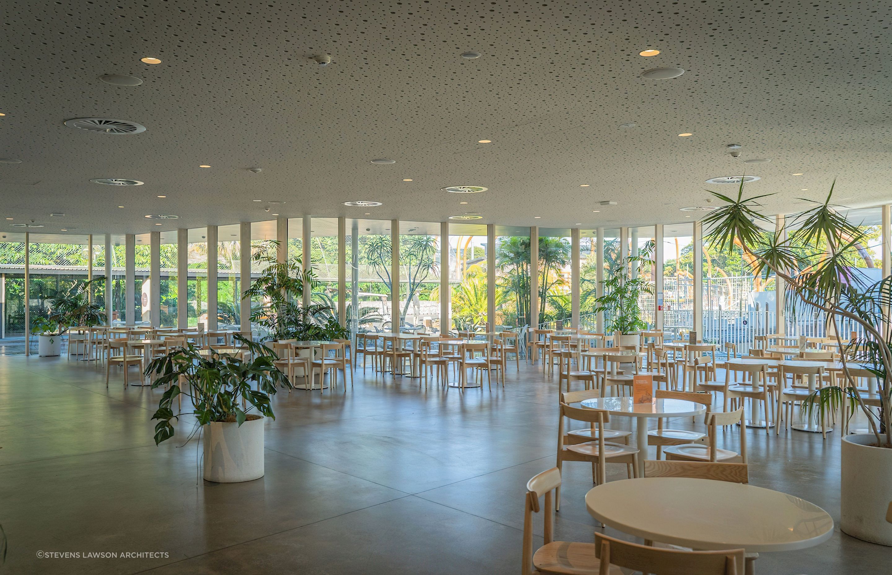 Ercol Lara Chairs at Auckland Zoo Te Puna Cafe by Stevens Lawson Architects