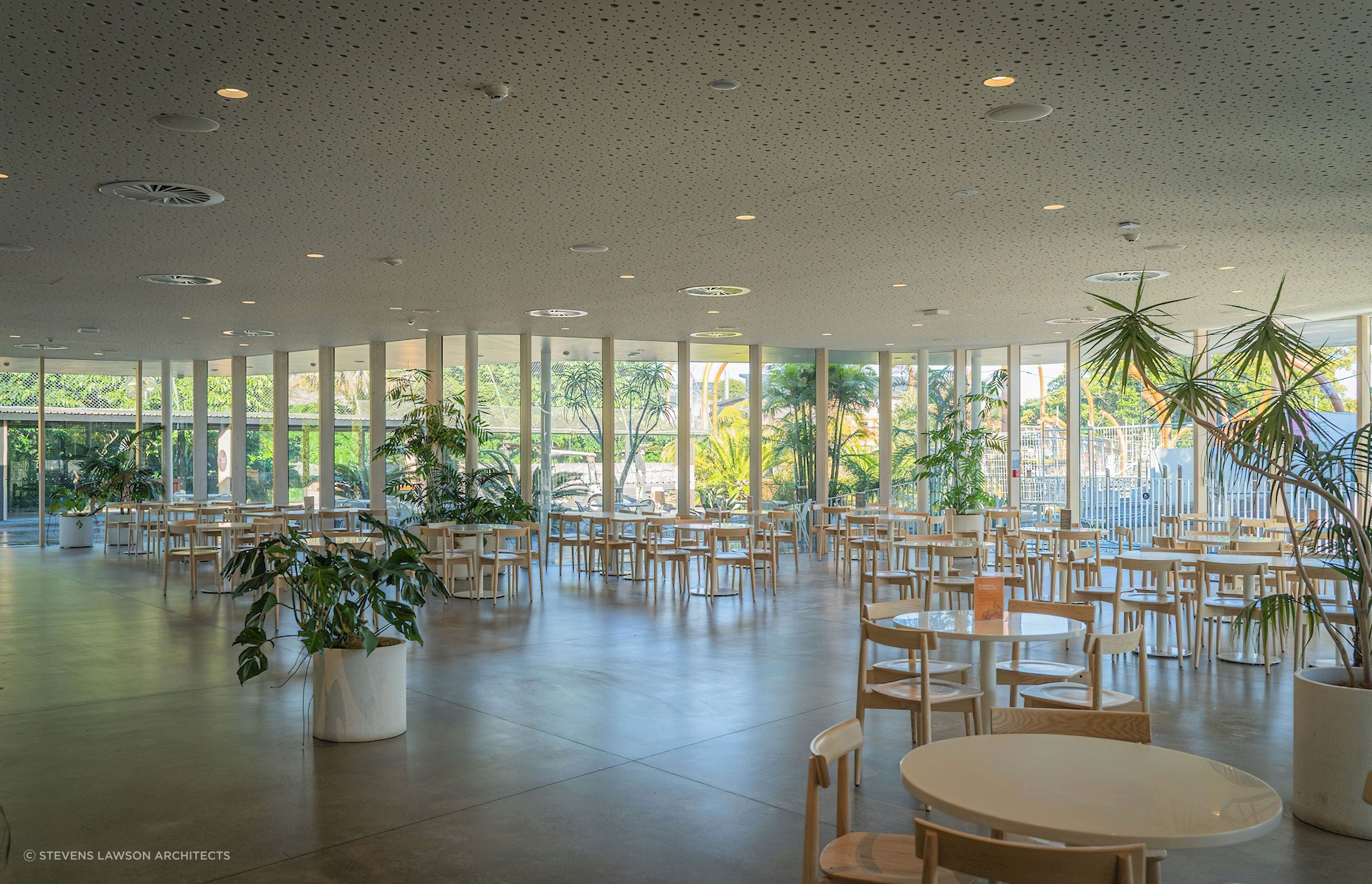 Ercol Lara Chairs at Auckland Zoo Te Puna Cafe by Stevens Lawson Architects