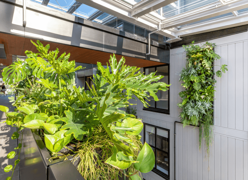 The Victor Apartments