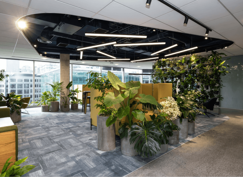 Microsoft Auckland