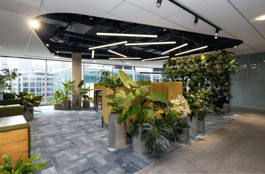 Microsoft Auckland