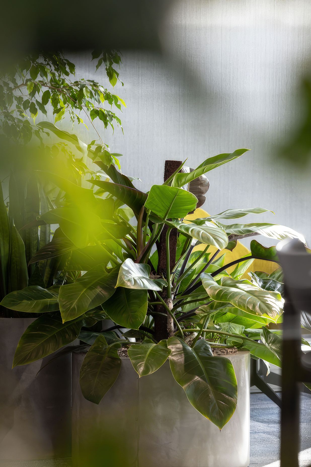 6379ab15d60031239eb478b0JP10920-gigapixel-standard-scale-200x.png