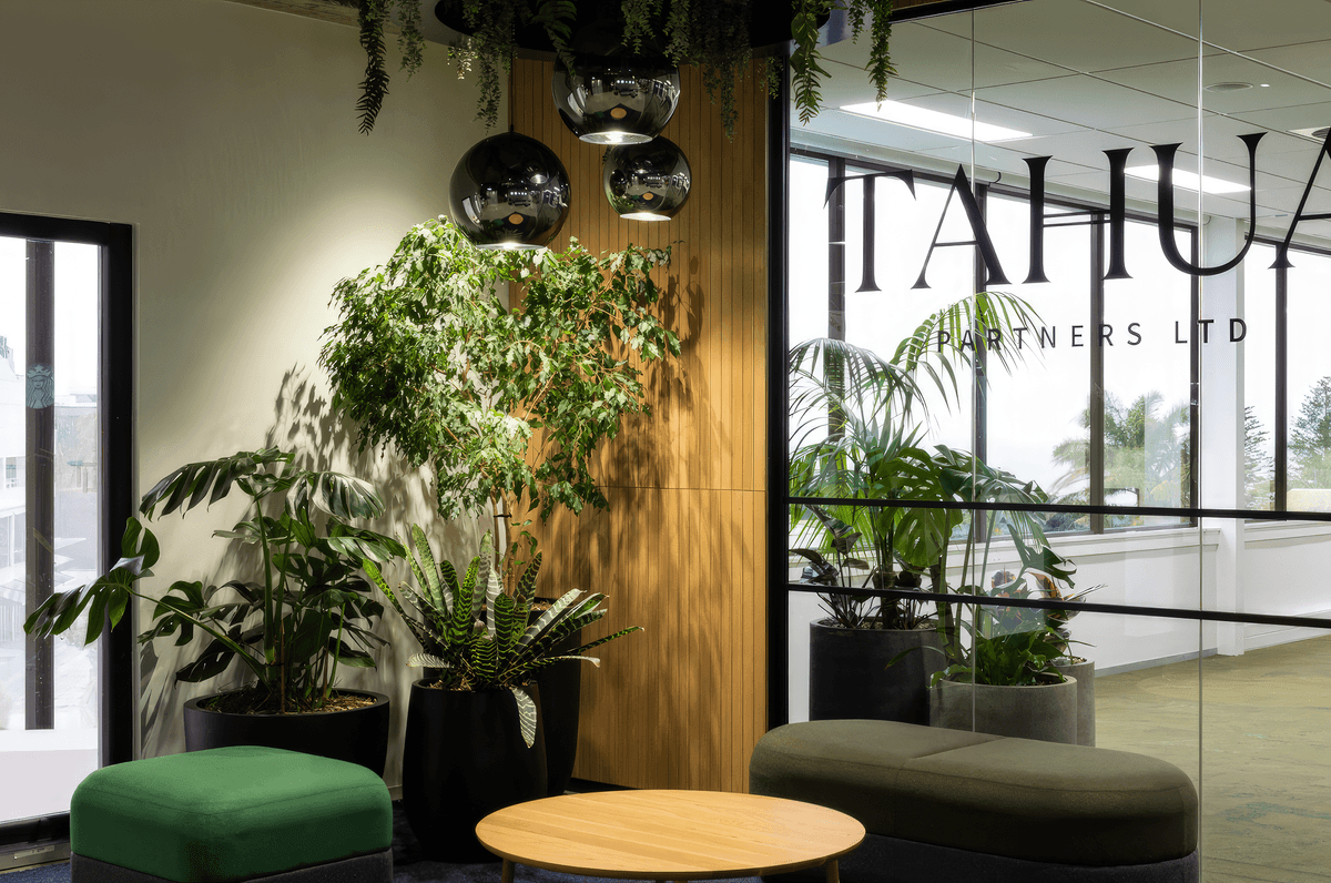 Tahua Partners