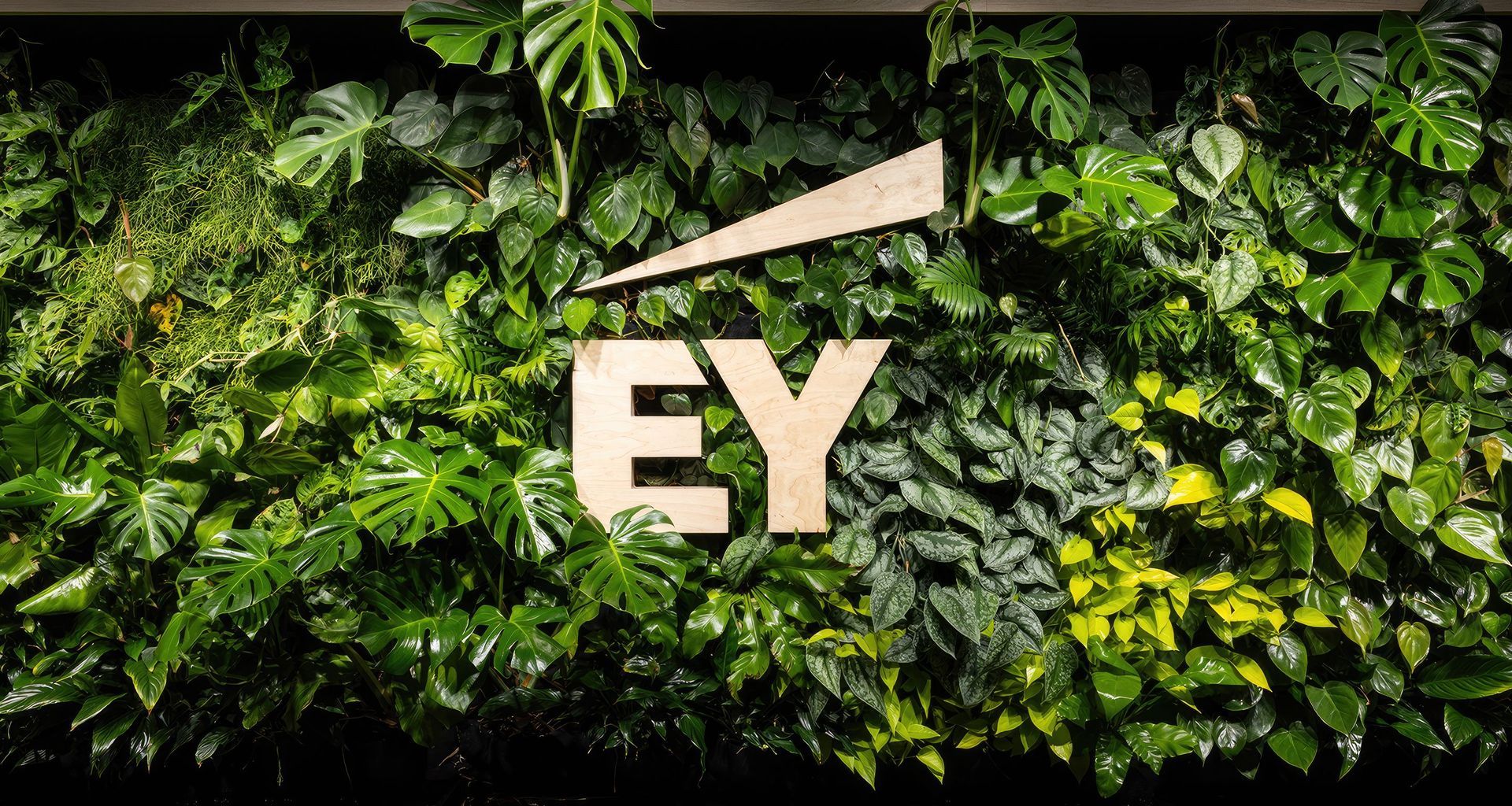 Ernst and Young banner