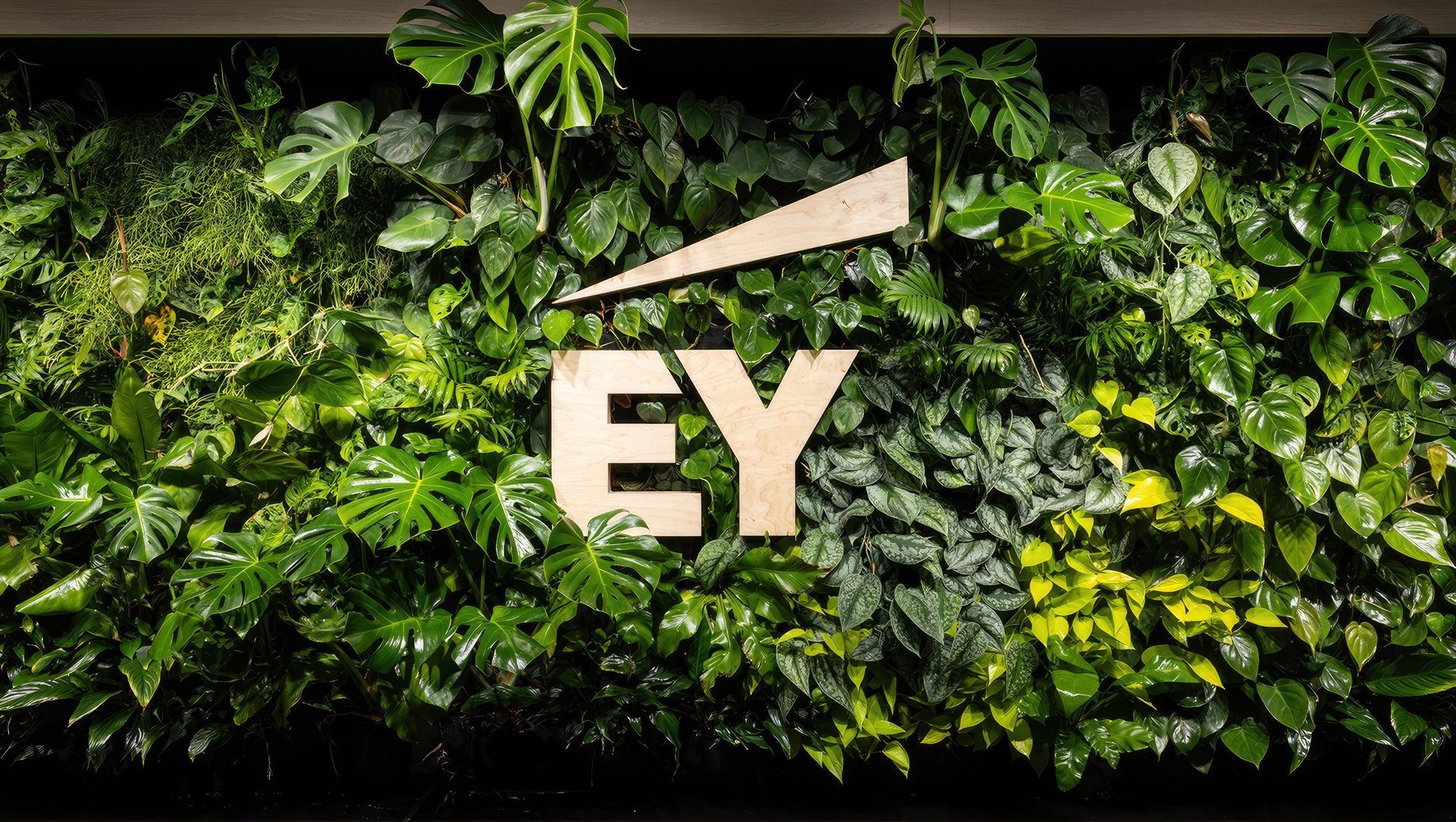 Ernst and Young banner