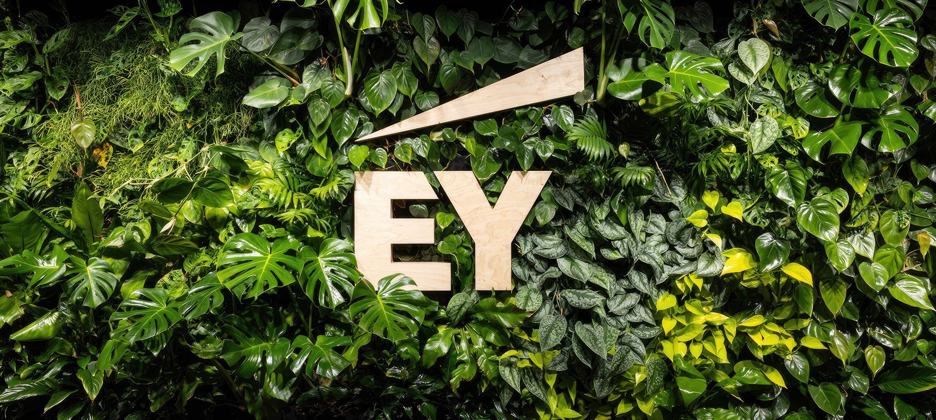Ernst and Young banner