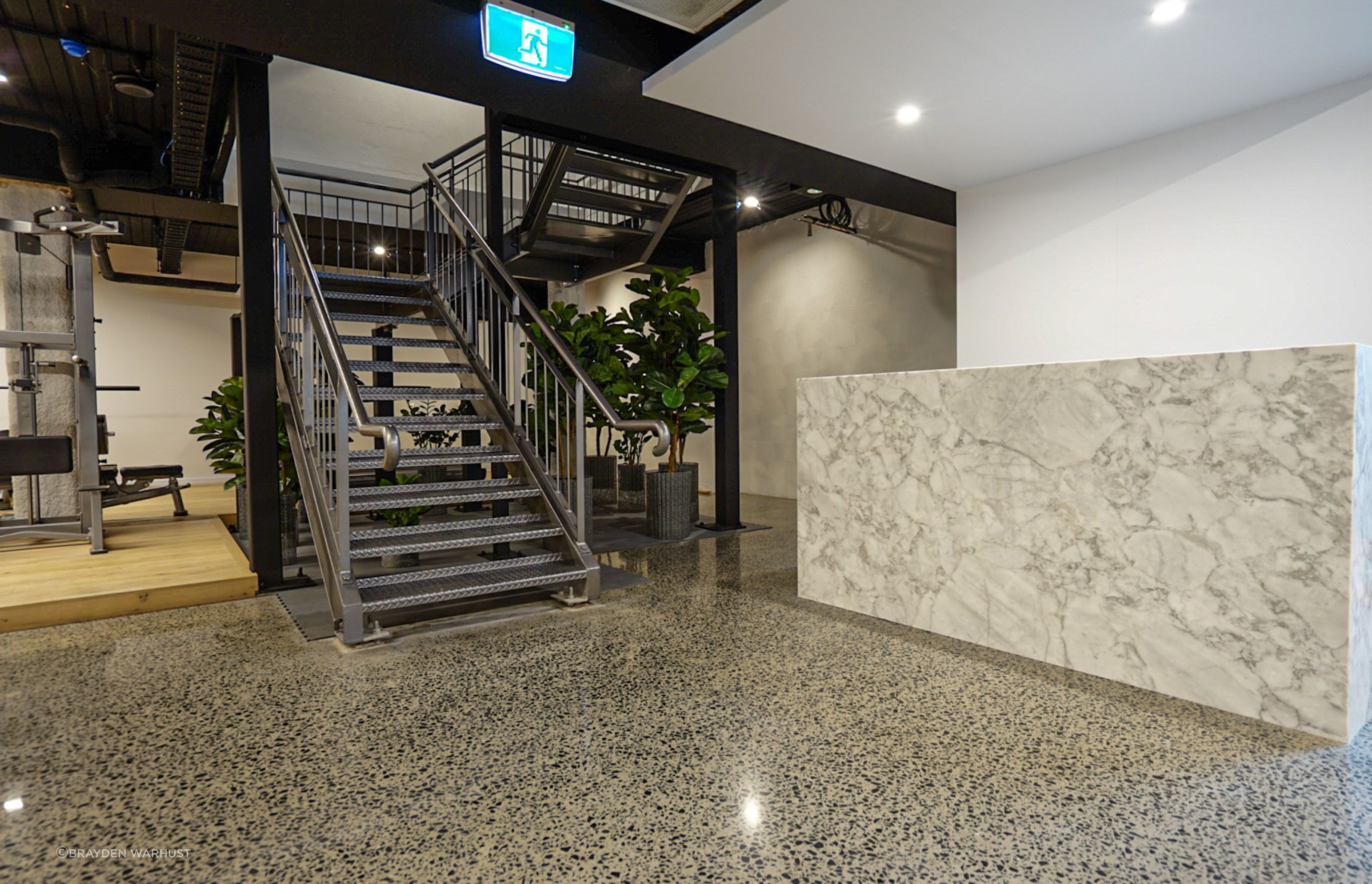 The Renovator Sorrento