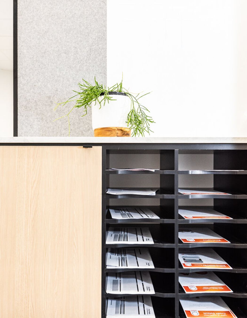 Nest Home Loans Tauranga Commercial Fitout