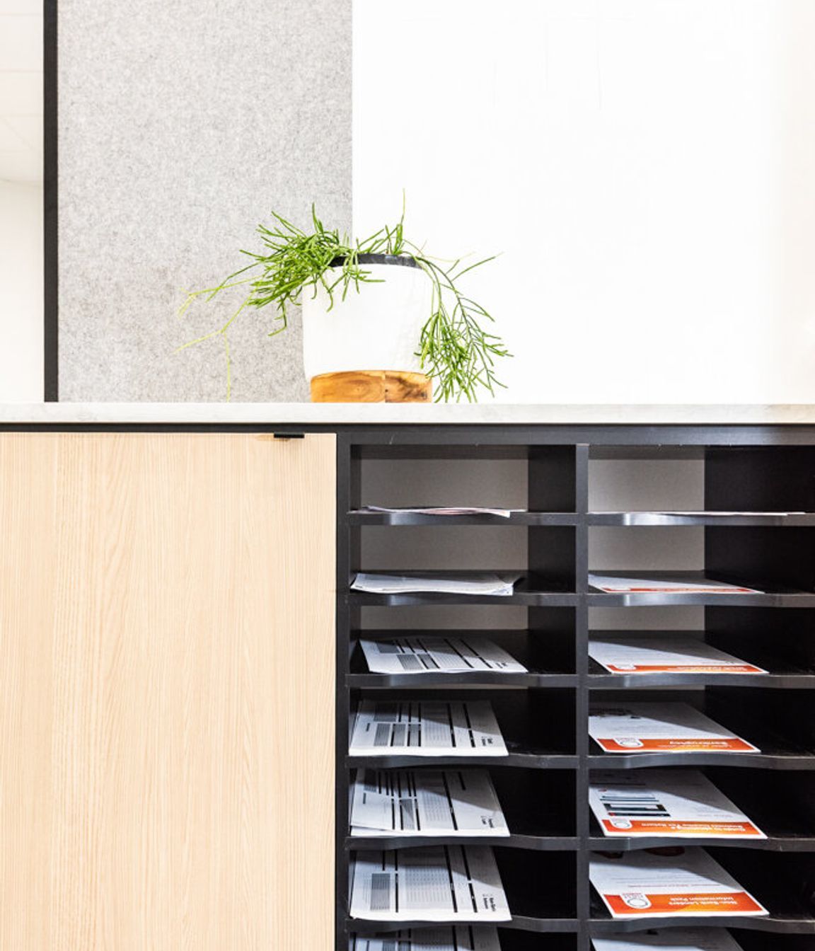 Nest Home Loans Tauranga Commercial Fitout