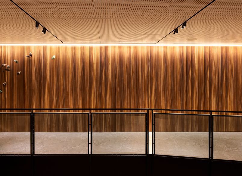 Chapman Tripp Wellington Office