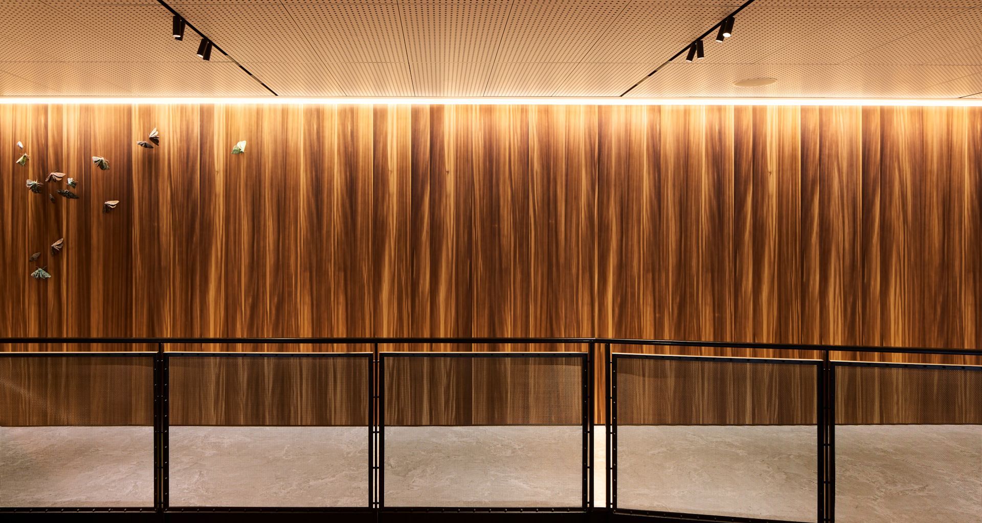 Chapman Tripp - Larch Veneer