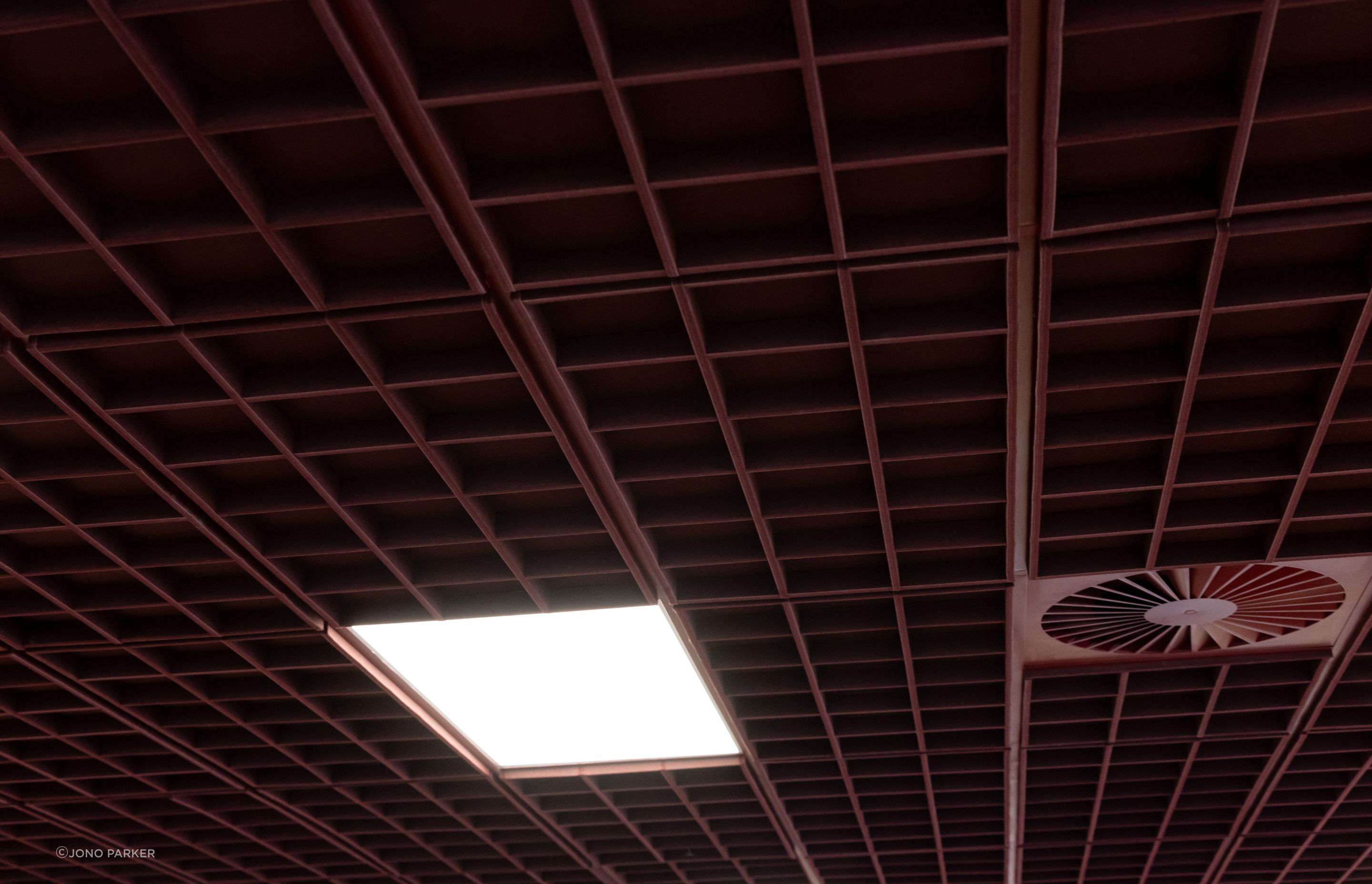 AAAnthonyHarper10gridCeilingTilesSargazo.jpg