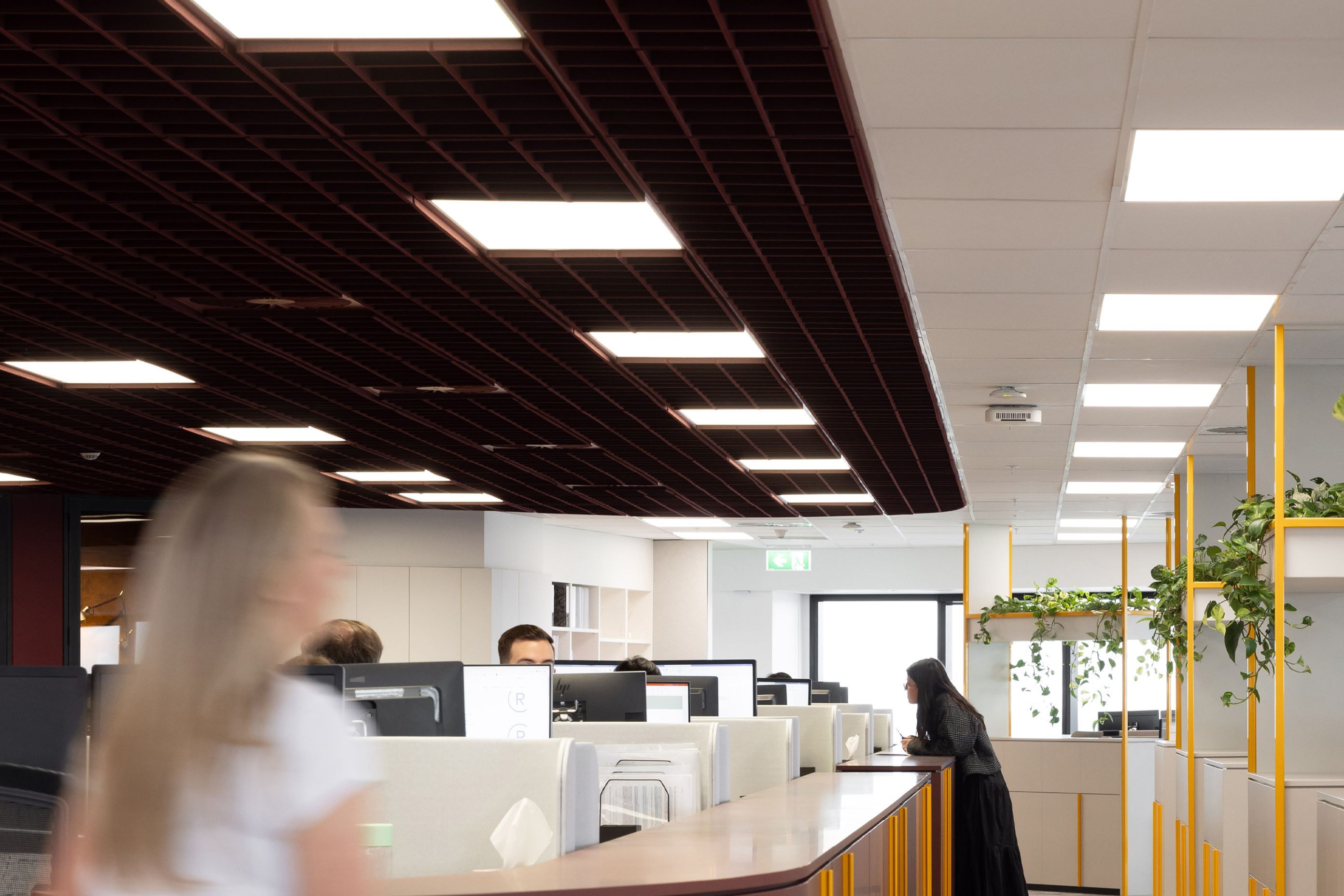 AAAnthonyHarper11gridCeilingTilesSargazo.jpg