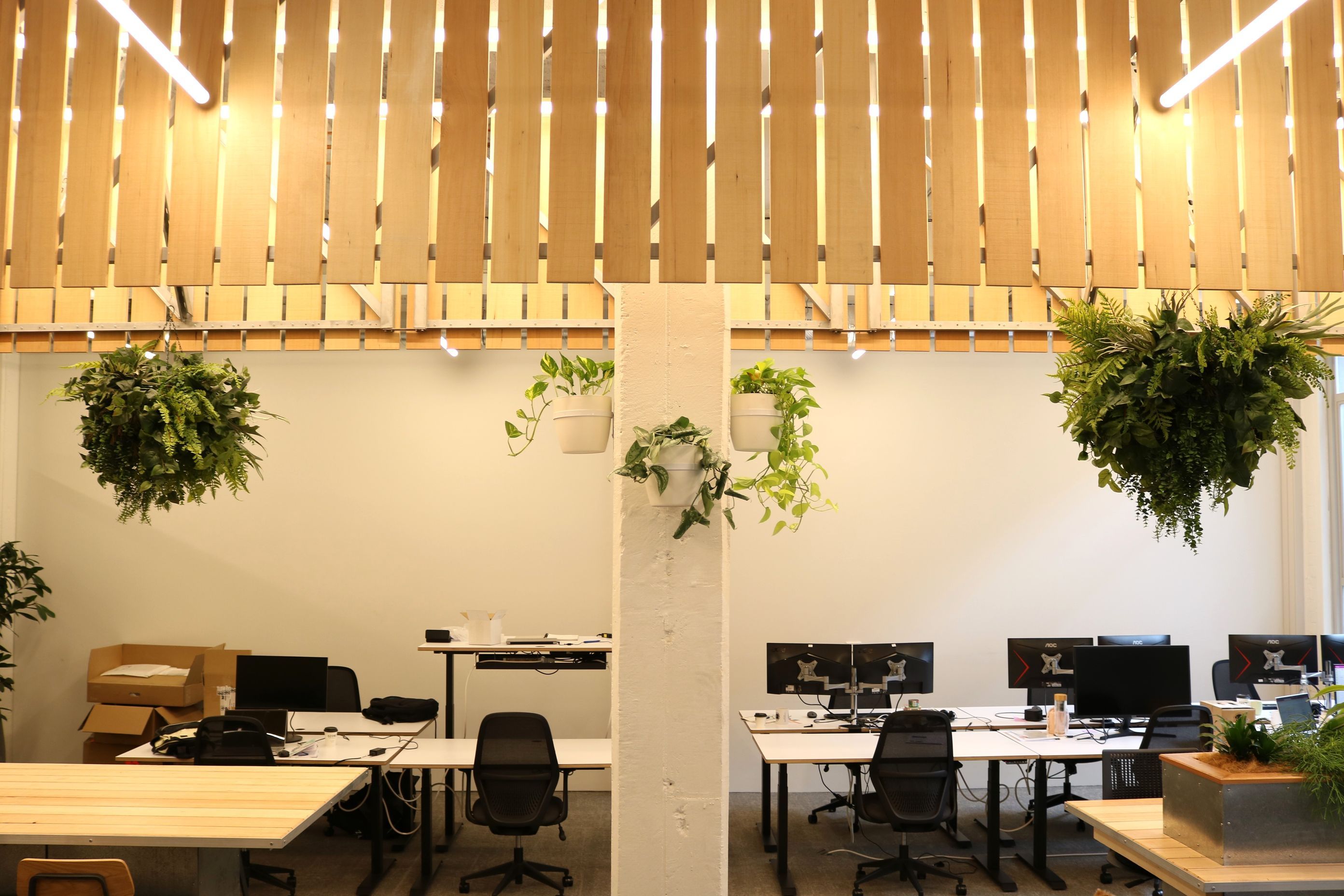 ARP5-ITR1-VWB1-IDR1-Artificial-hanging-baskets-Wall-brackets-Ruminant-Biotech-224-4.JPG