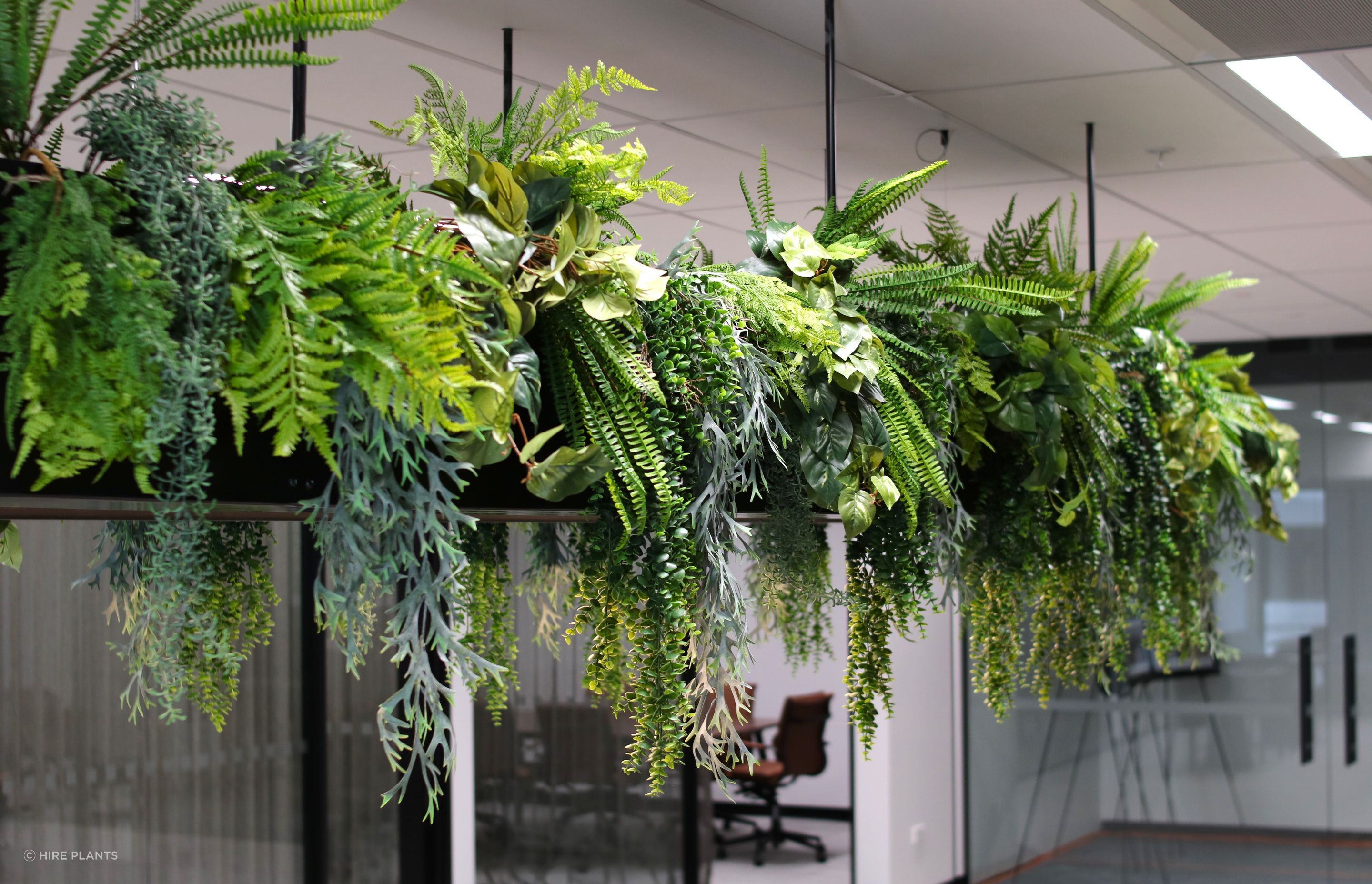 ART3-ART5-artificial-trailing-installation-Edge-Interiors-0625-3.JPG