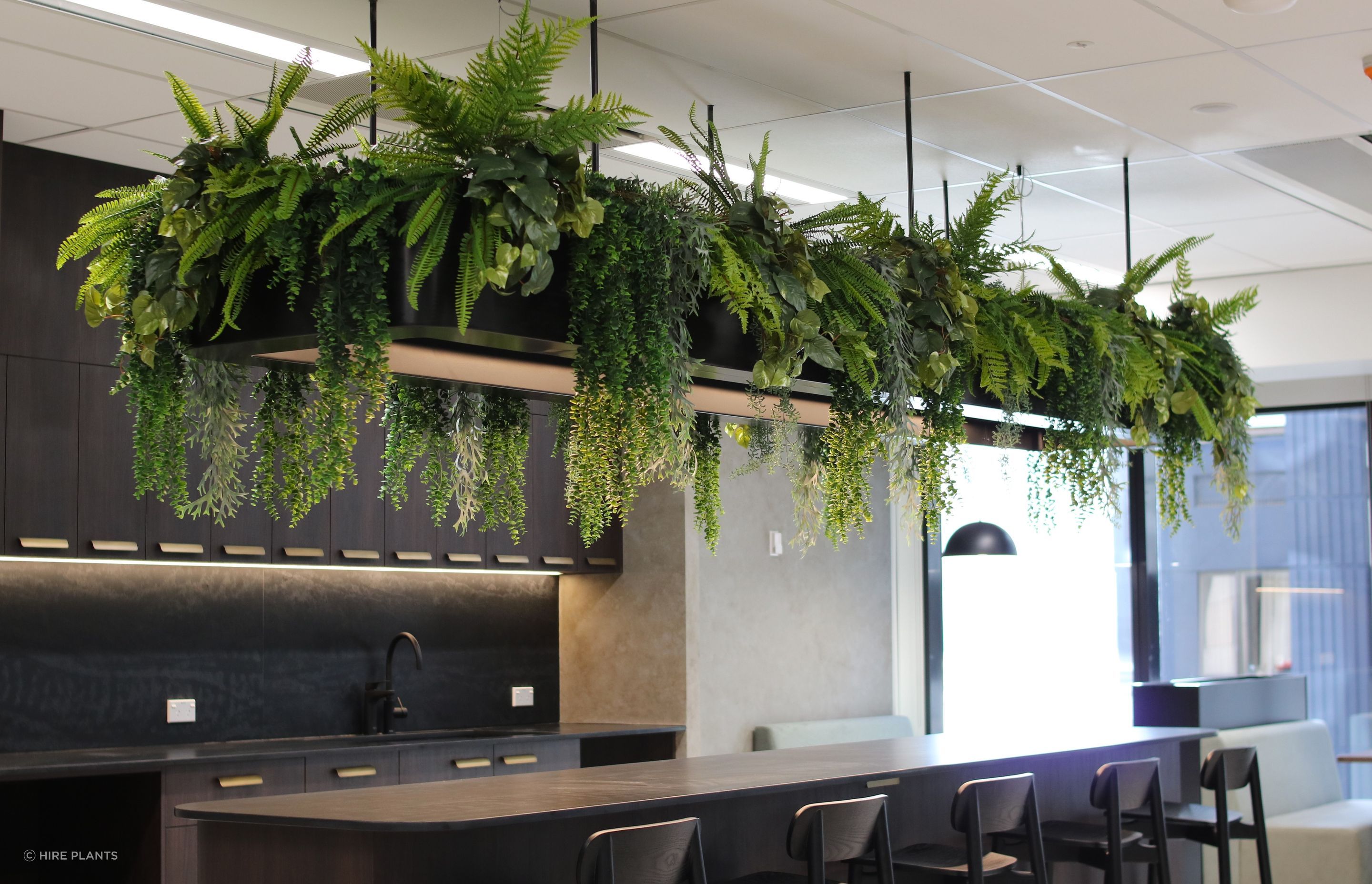 ART3-ART5-artificial-trailing-installation-Edge-Interiors-0625.JPG