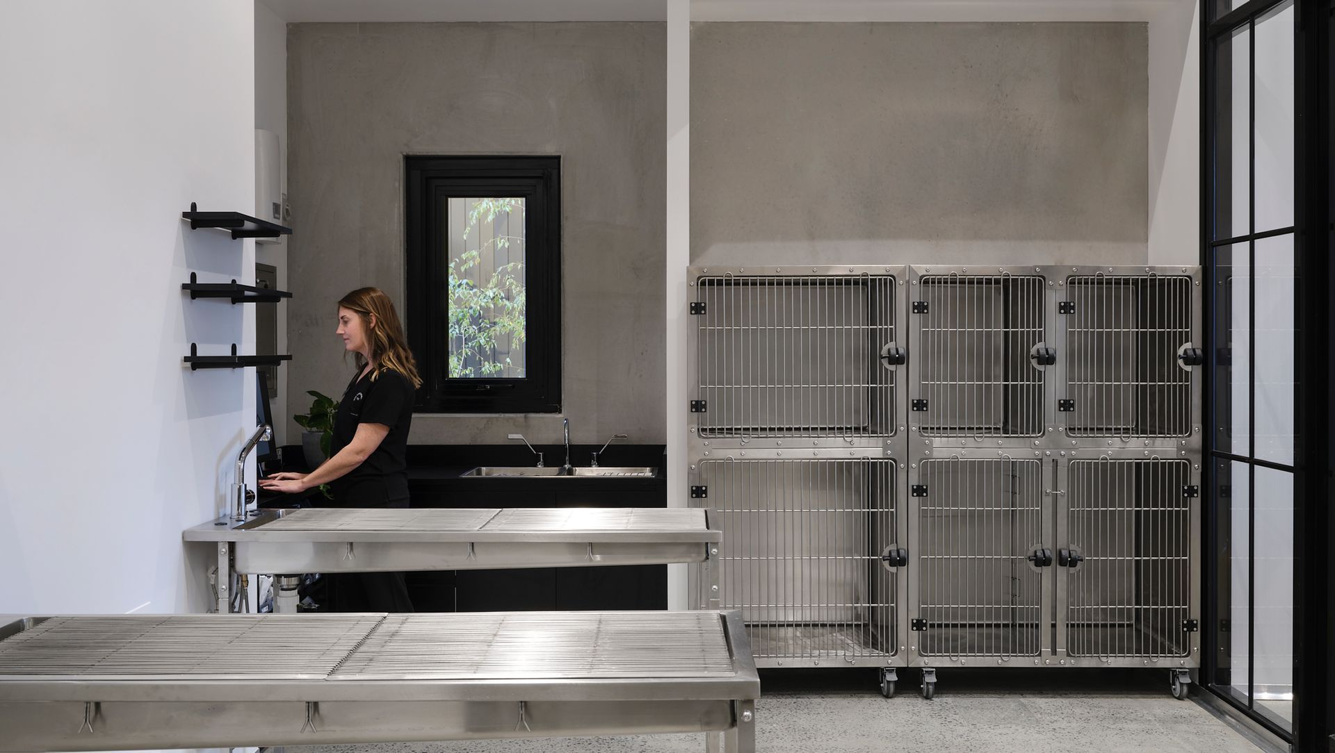 Foreshore Vet banner