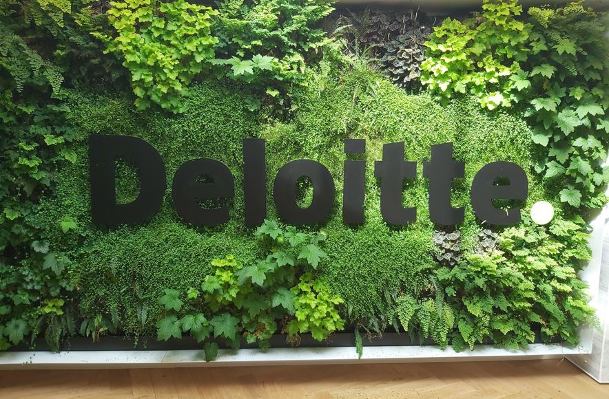 Deloitte Green Wall, Dunedin
