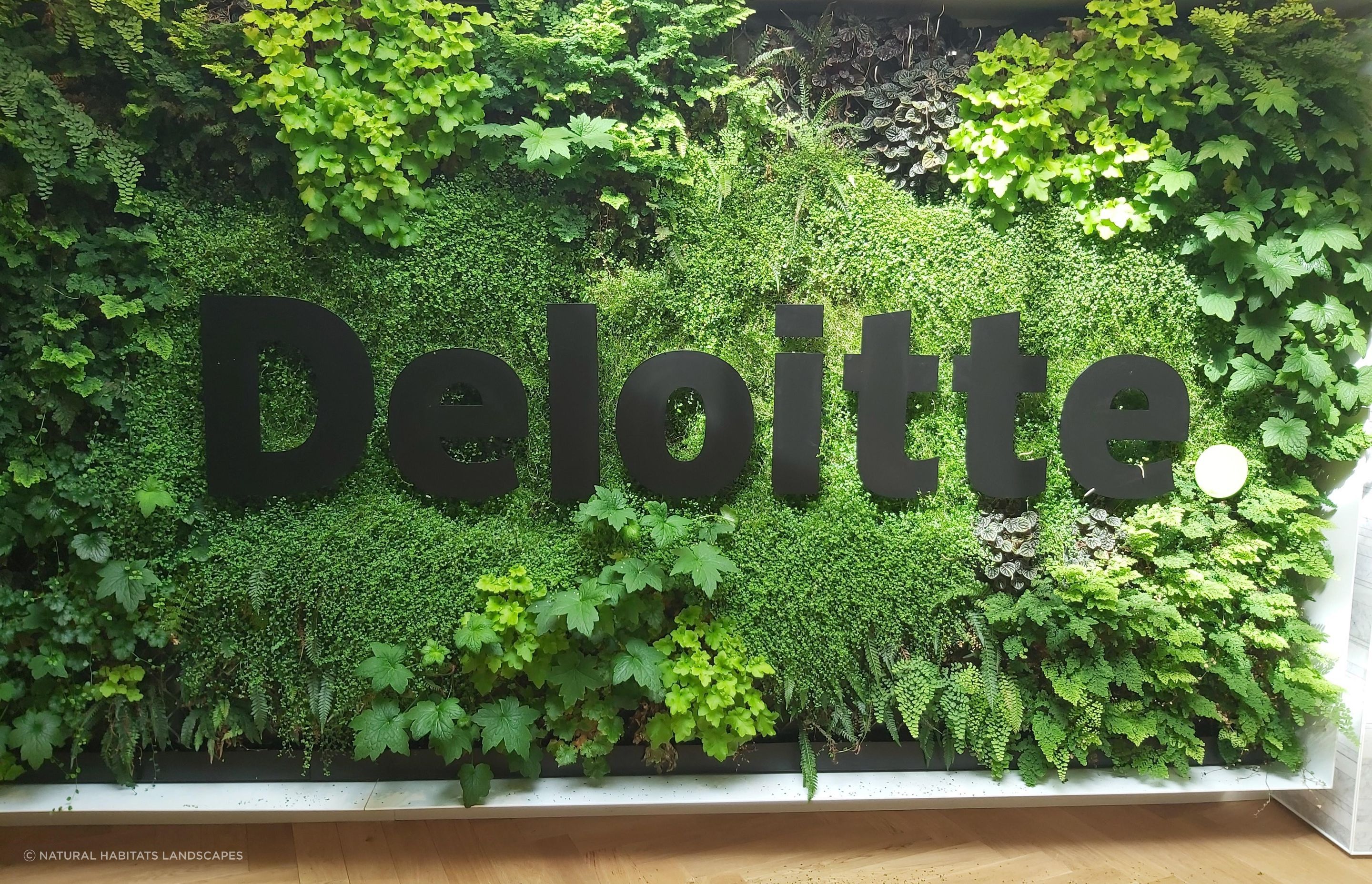 Deloitte Green Wall, Dunedin