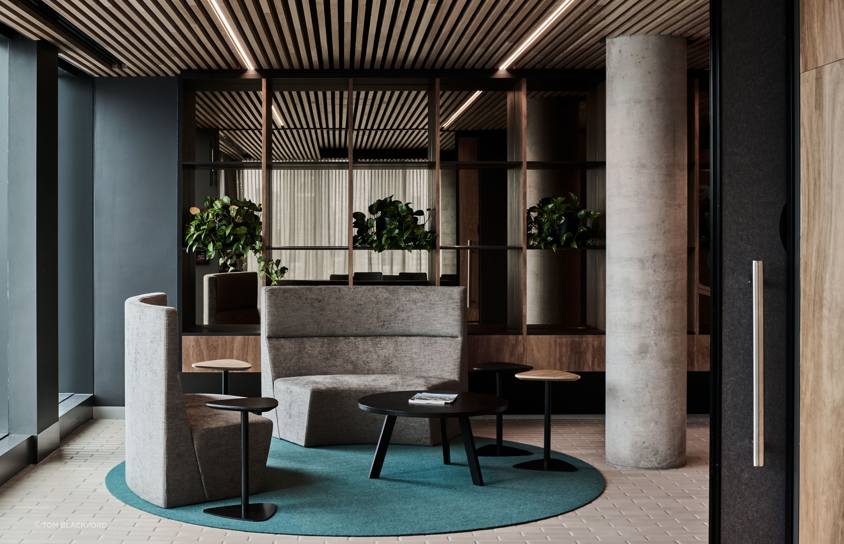 The natural tone of the Aluminium brick tiles pair well with the Blackbutt timber and the Australiana/eucalypt palette