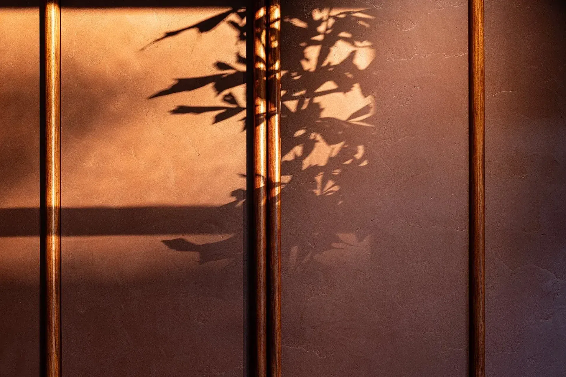 AmbitecStudio-rendereddoors.webp