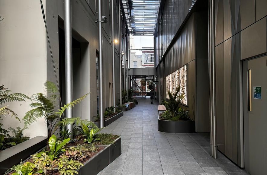 Mansons - 50 Albert Street - Commercial Building