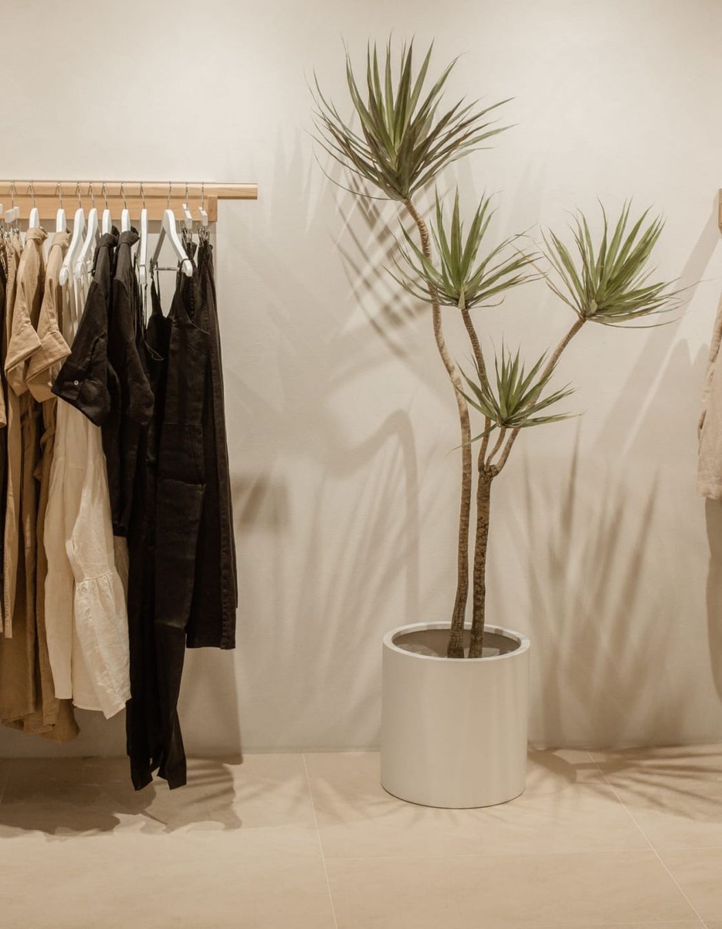 Tavira Limestone Honed | We Are Triibe | Prospace Projects