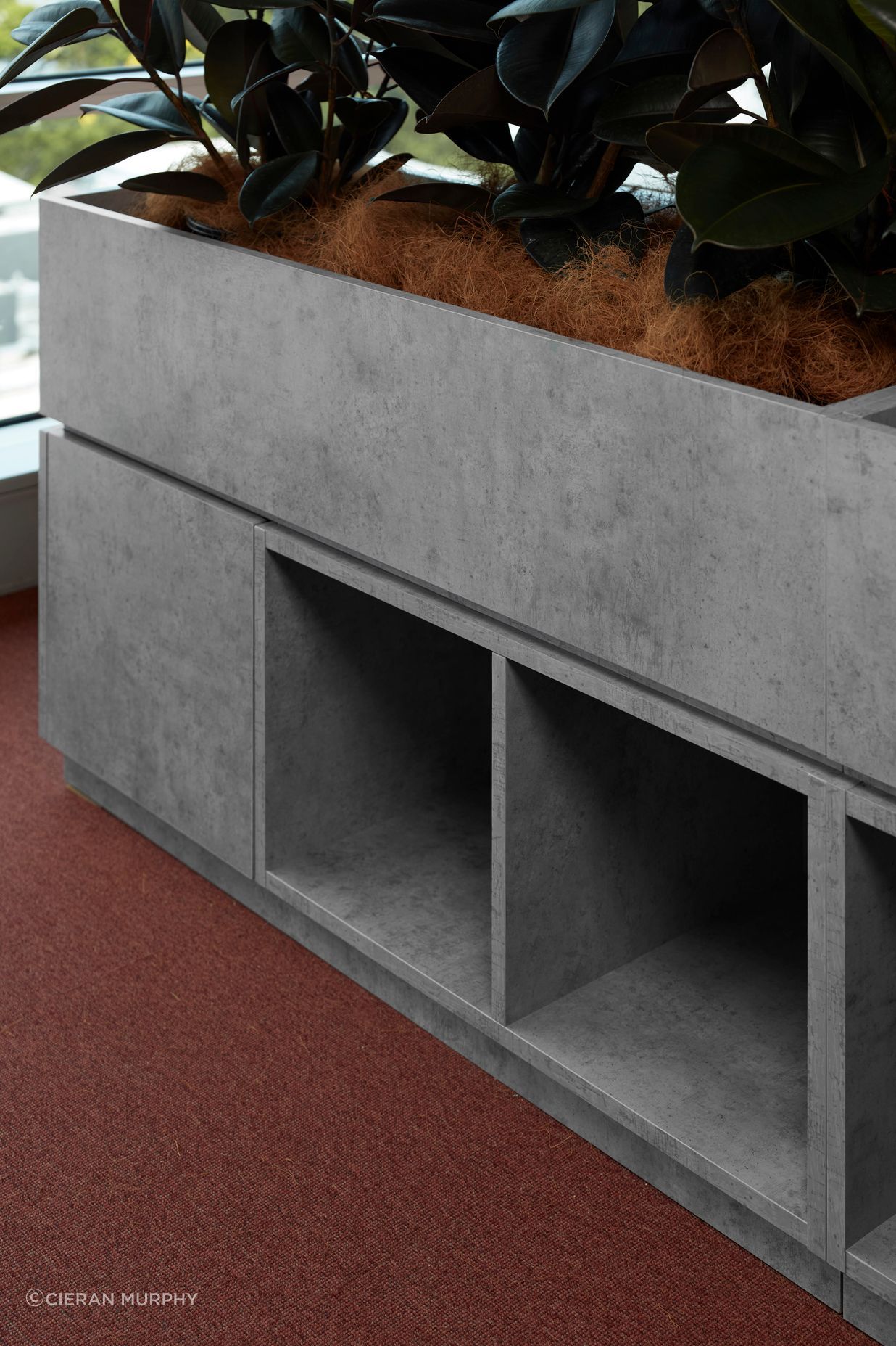 BEARSPACEEGGERME189-GREY-ST201223IMG2330.jpg