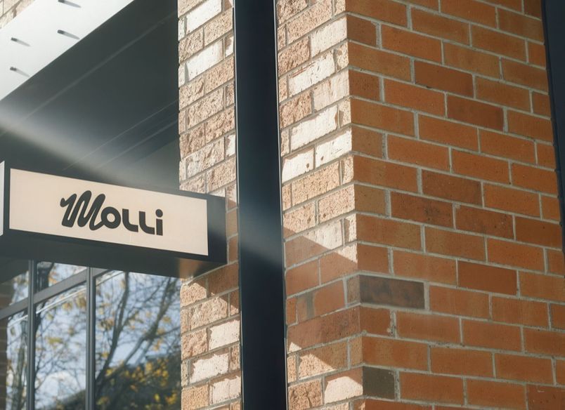 Project Feature | Molli