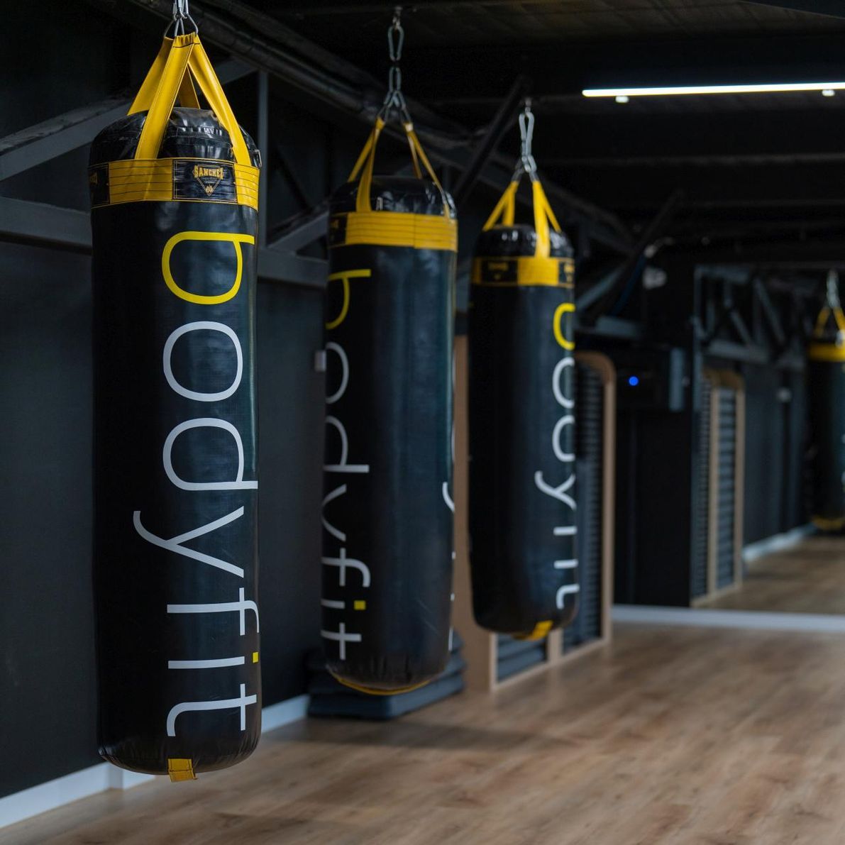 Bodyfit17.jpg