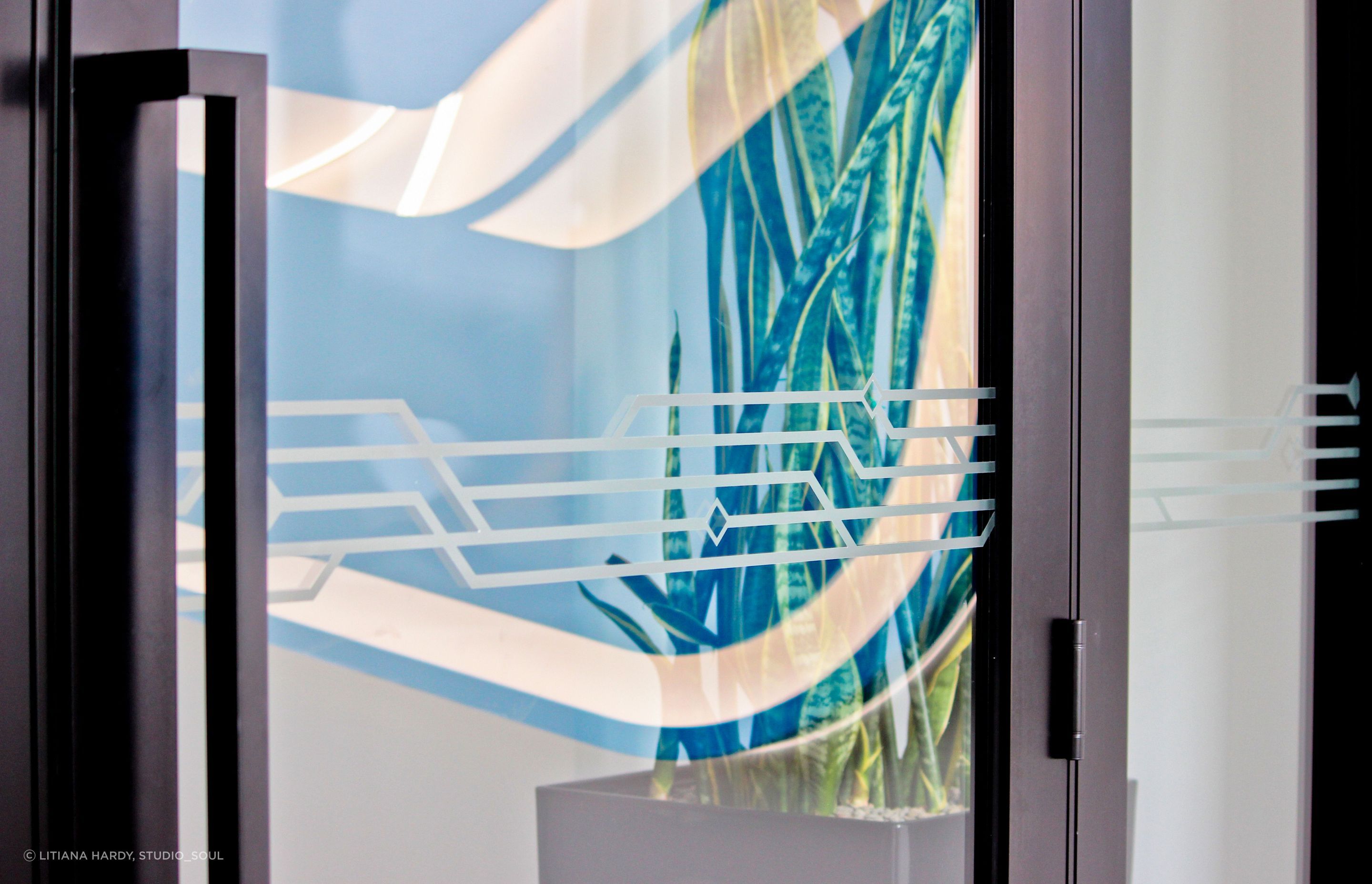 Vision Systems