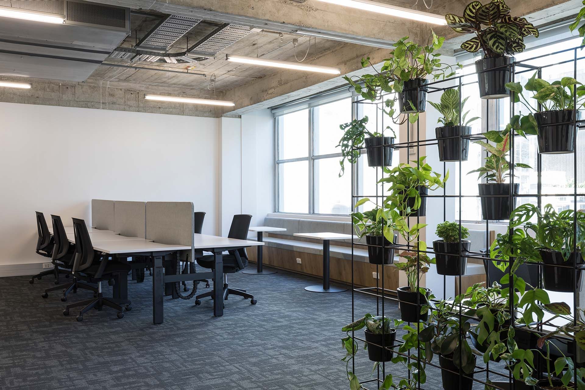 85 Fort Street - Speculative Suites