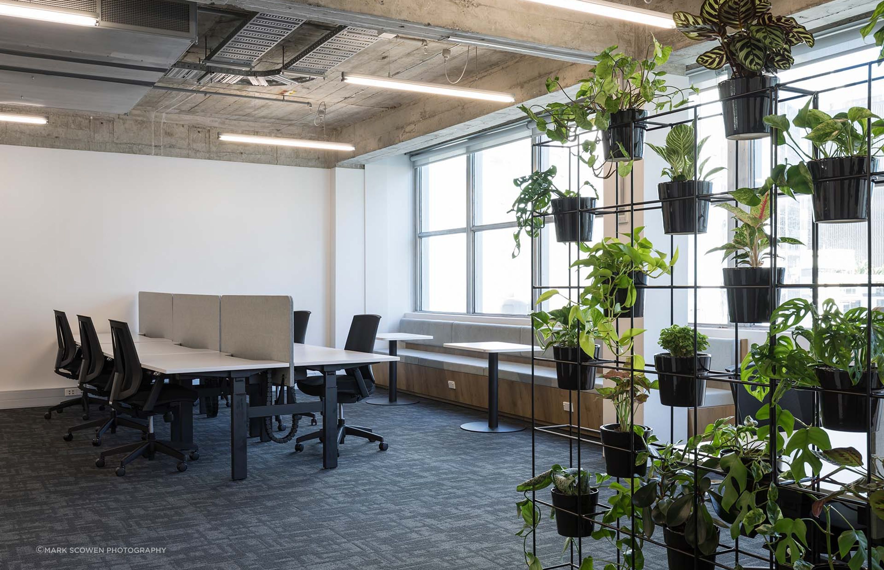 85 Fort Street - Speculative Suites