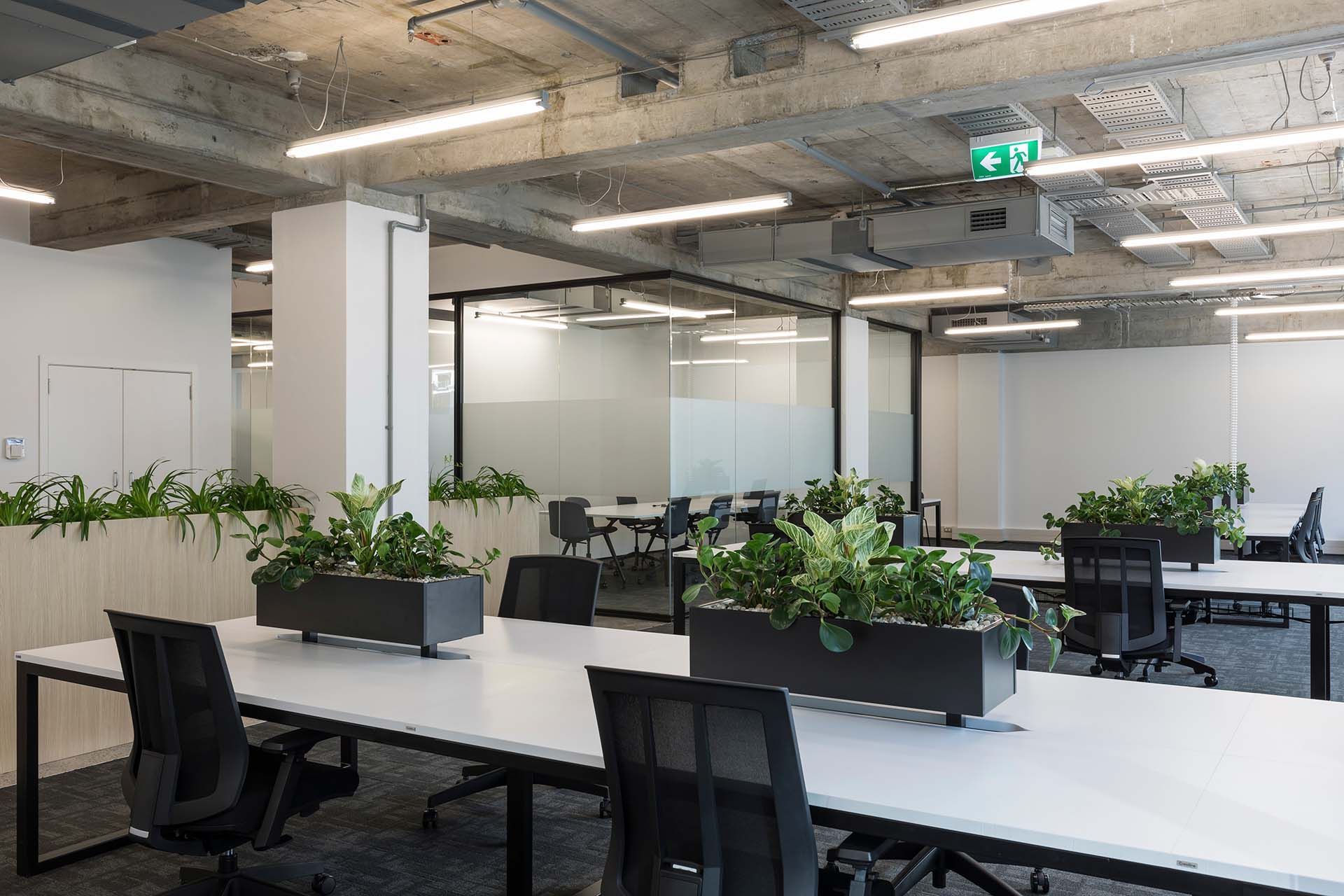 85 Fort Street - Speculative Suites