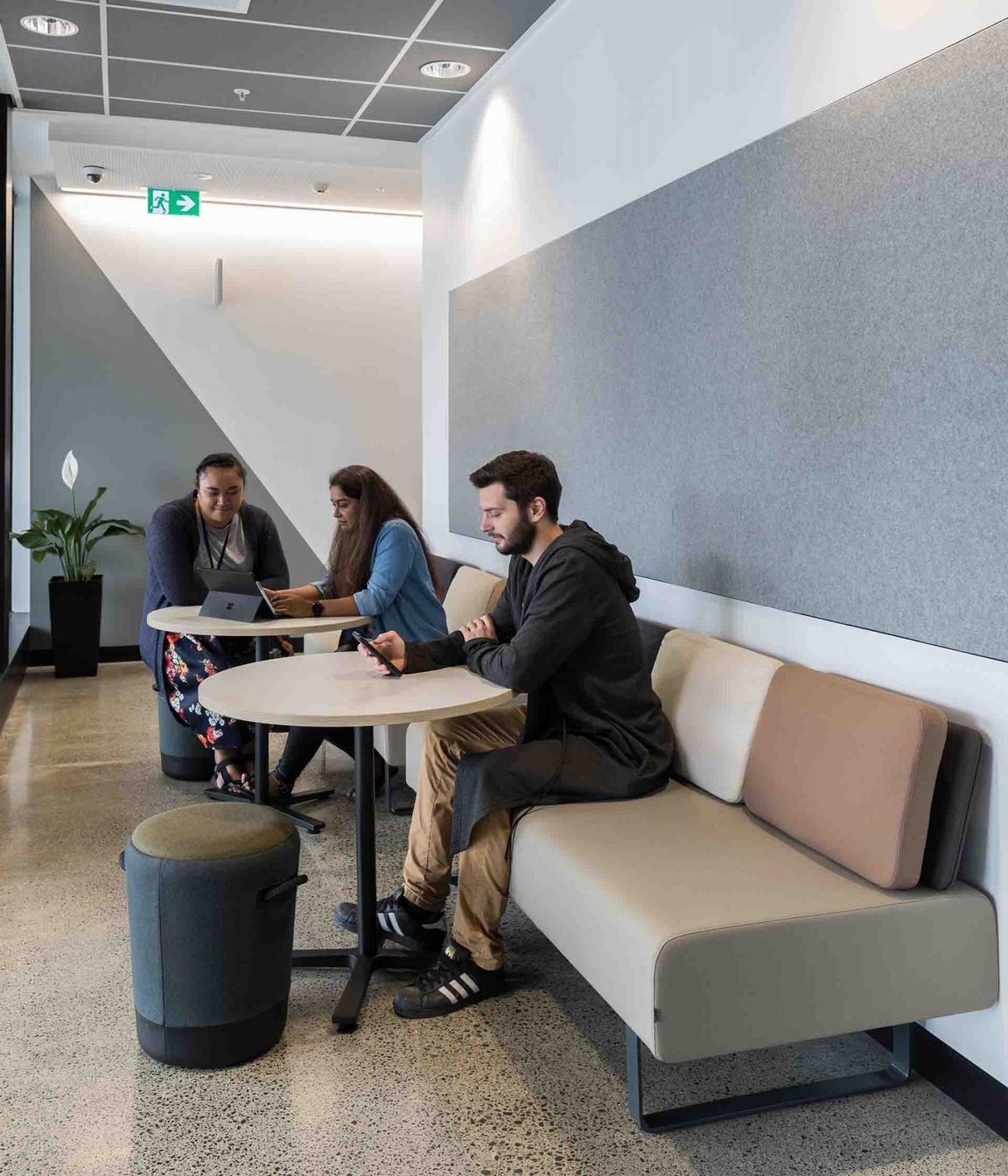 Media Design School