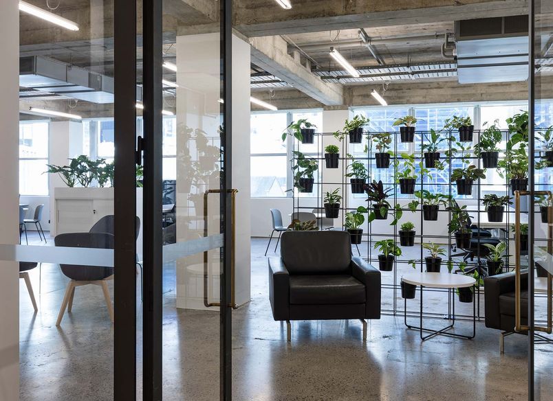 85 Fort Street - Speculative Suites