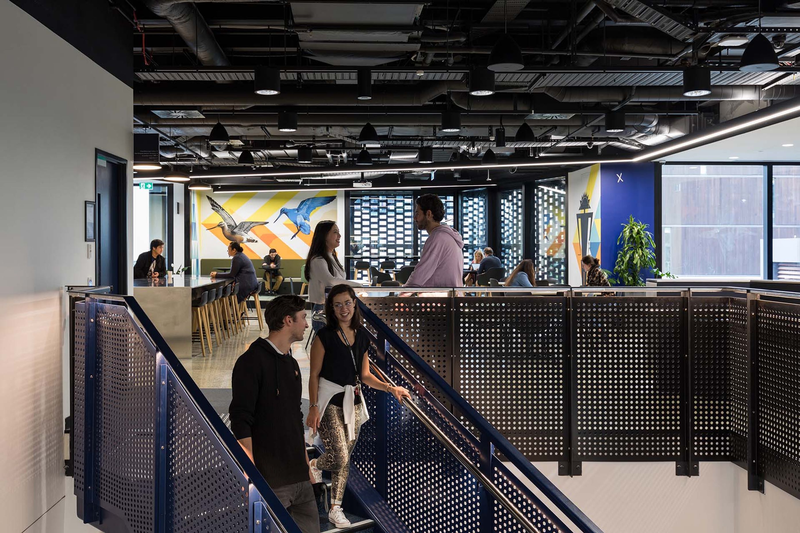 Media Design School