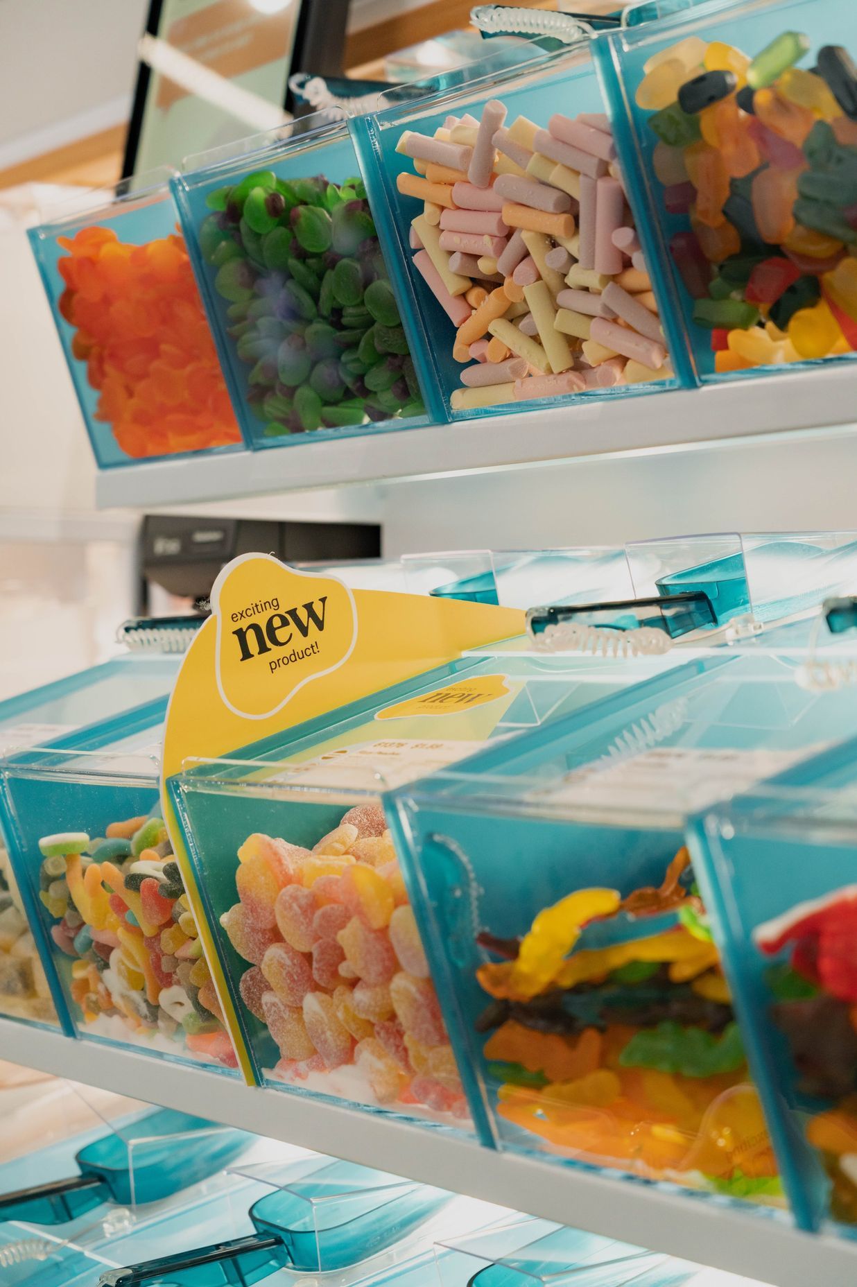 Acrylic Bulk Food Bins
