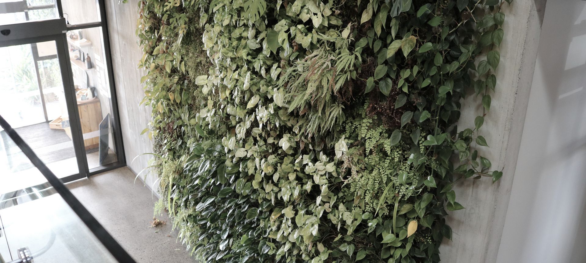 Ceres Organics Plant Wall Maintenance At Height by Hire Plants
