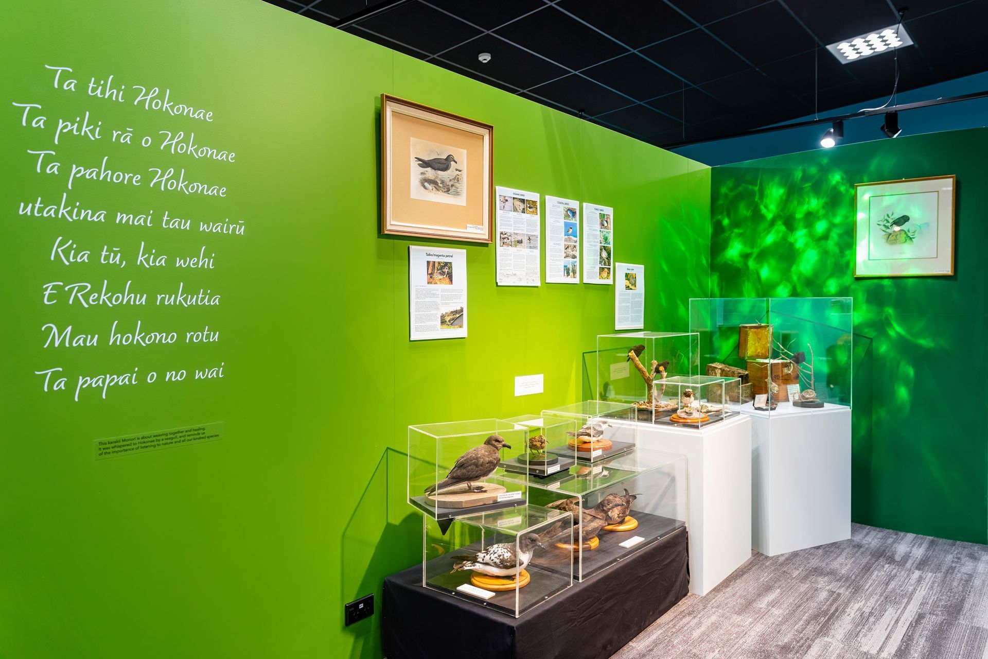 Chatham Islands Museum