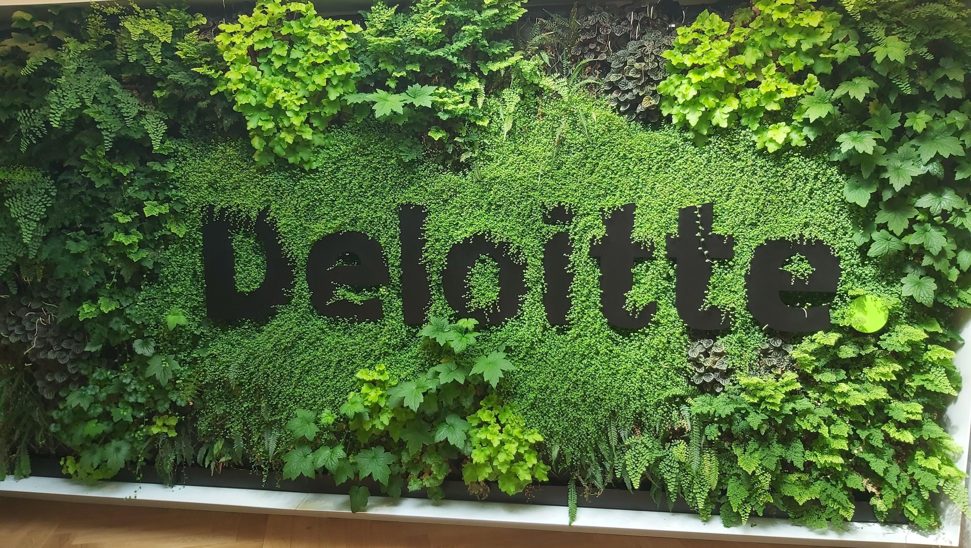 Deloitte Green Wall