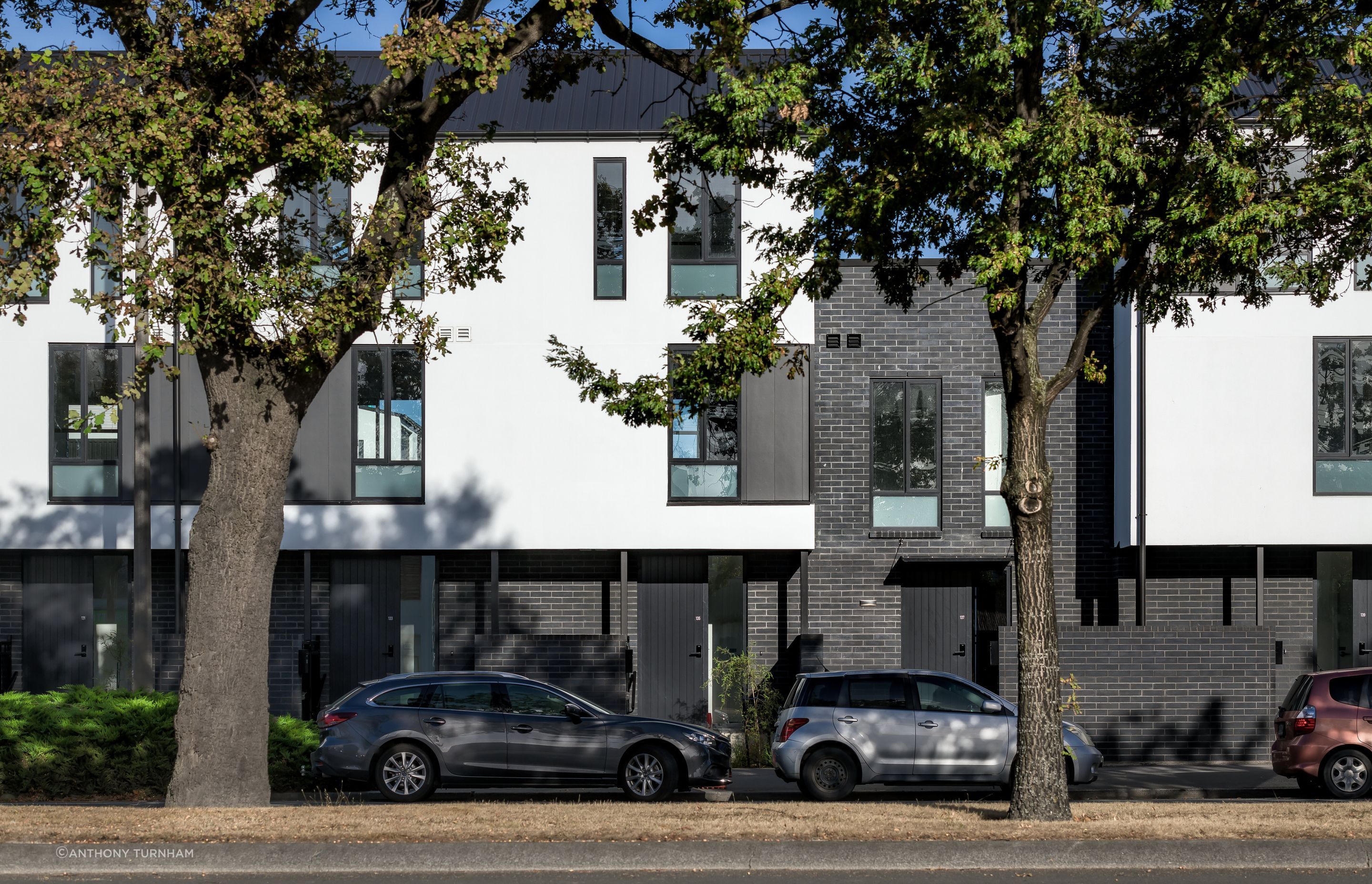 Fitz-Mews-Cat04-image-1-v4.jpg