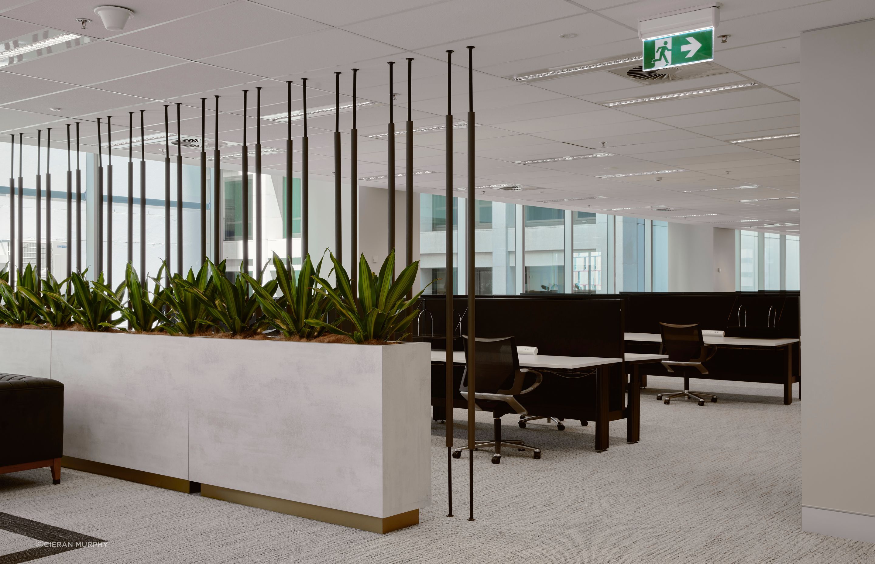 Dexus, 3/145 Ann Street